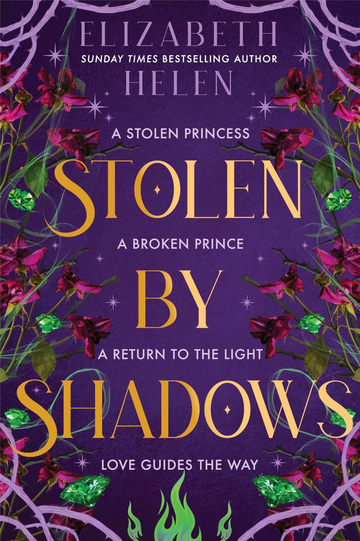 Bloom Books Stolen by Shadows (Beasts of the Briar) - Hardcover, Book 6