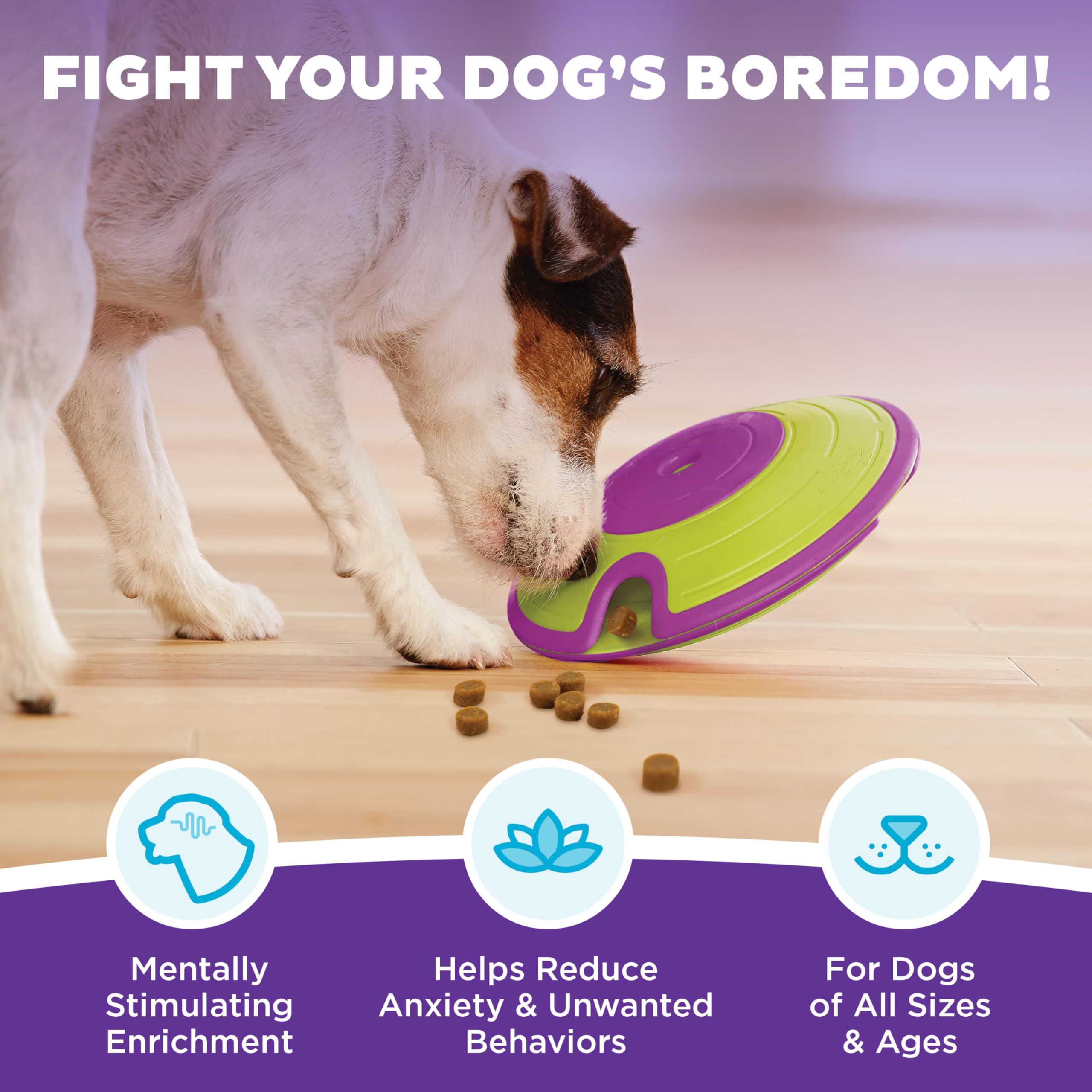 Outward Hound Nina Ottosson Treat Maze Interactive Treat Puzzle Dog Toy, Intermediate Level 2