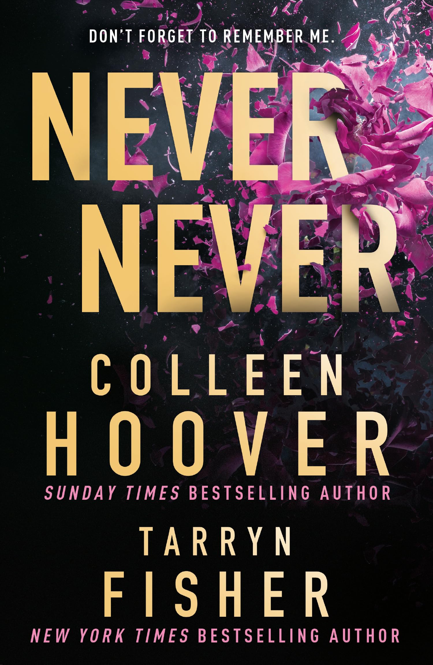 Never Never by Colleen Hoover & Tarryn Fisher - Romantic Suspense Novel | Paperback
