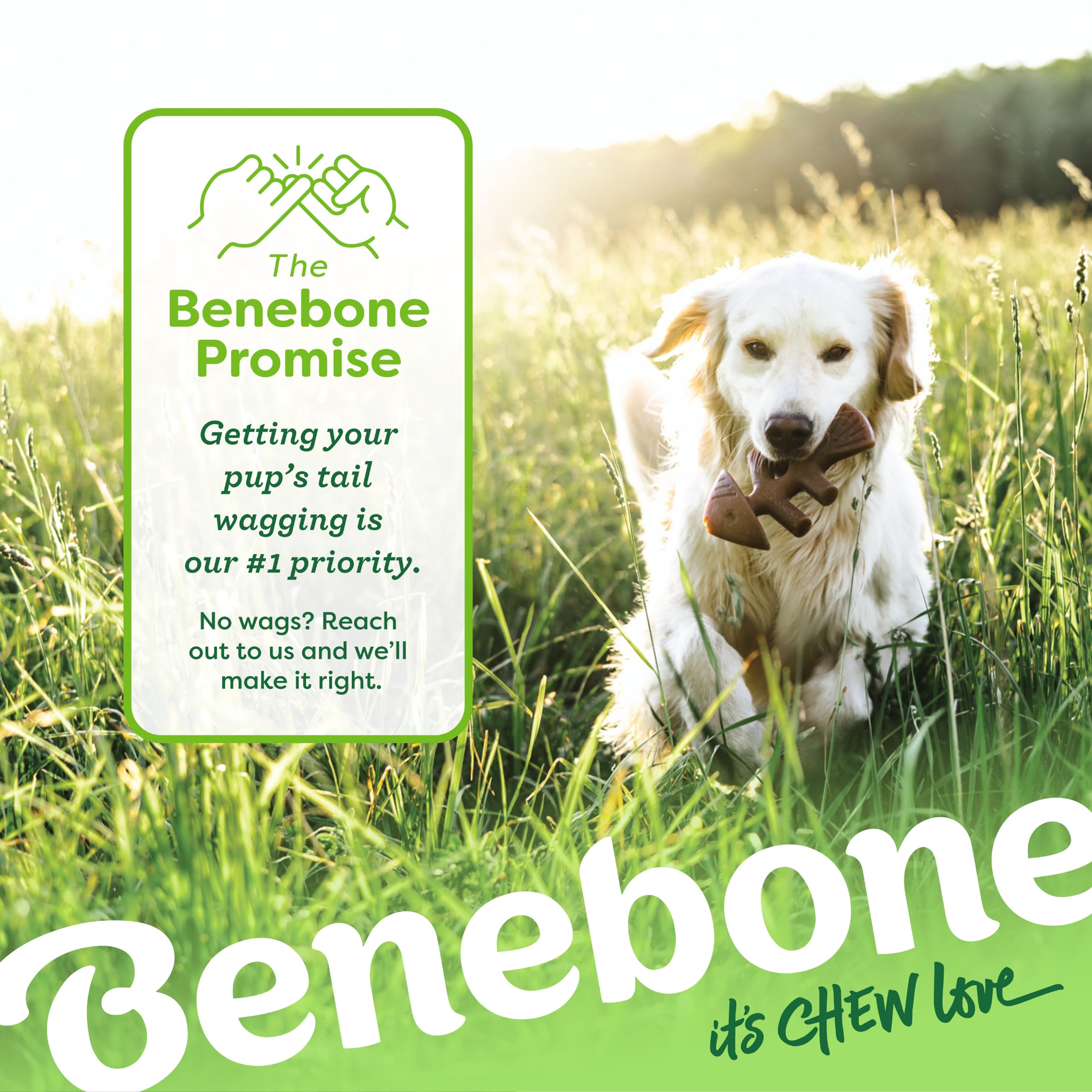 Benebone Fishbone Durable Chew Toy - Jack Salmon Flavor | 2 Pack for Tiny Dogs Under 15 lbs 6