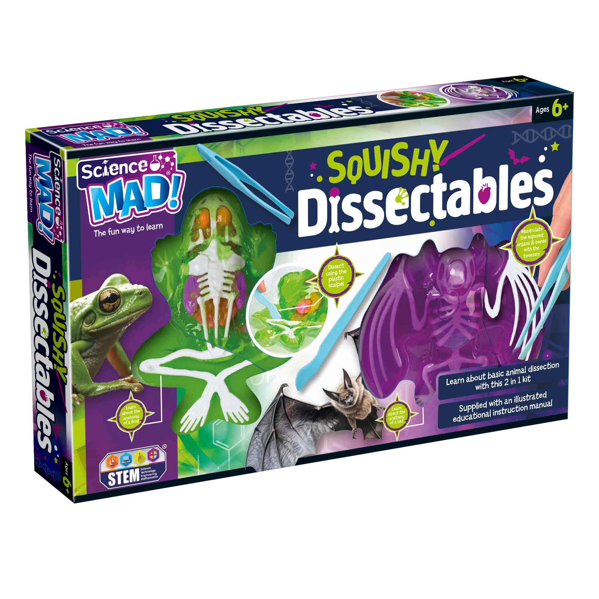 Science Mad Squishy Dissectables 2 Pack - Frog & Bat Anatomy Kit | STEM Learning 1