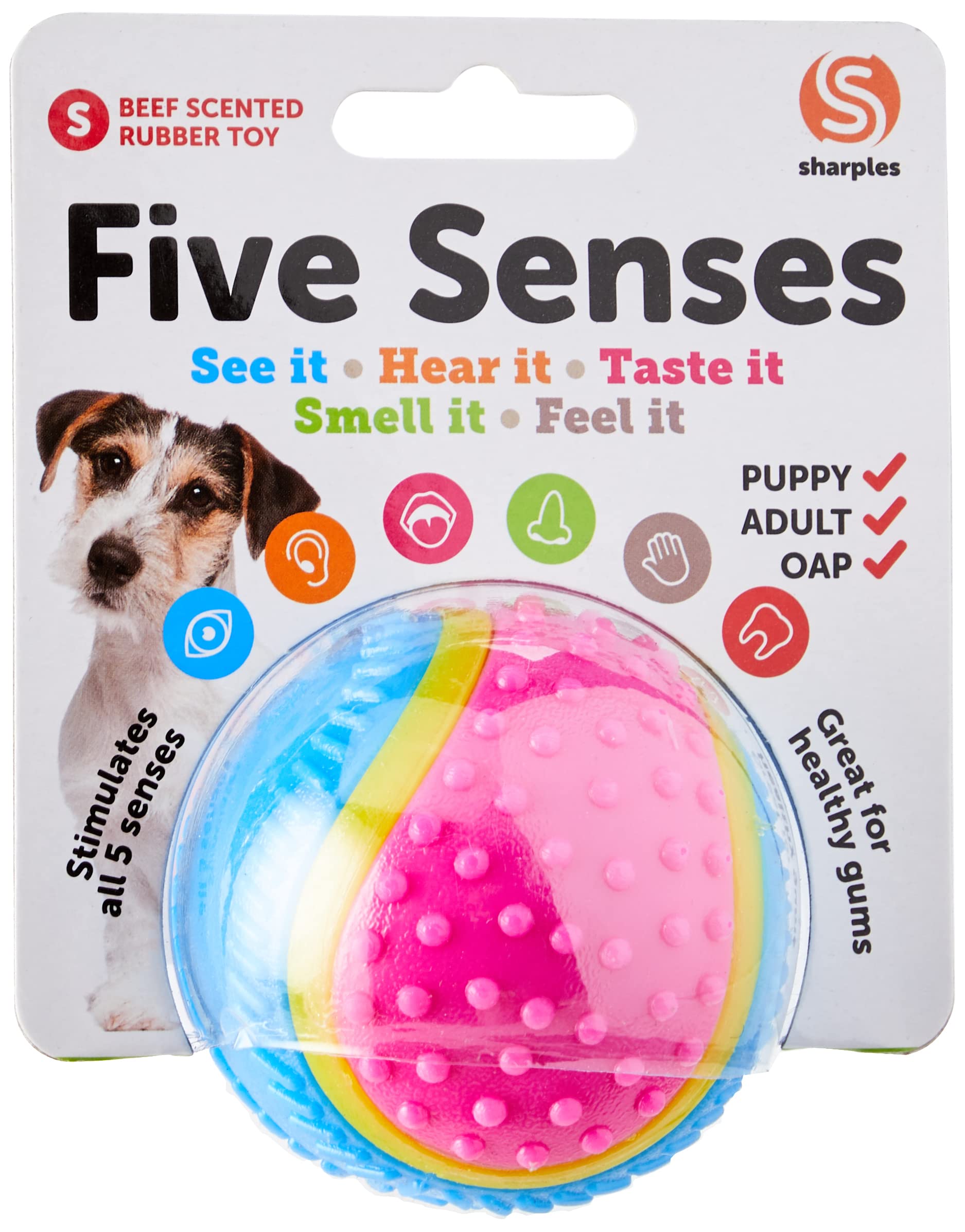 Sharples Five Senses Rubber Ball - Beef Scented, Multi-Textured, Small Size 3