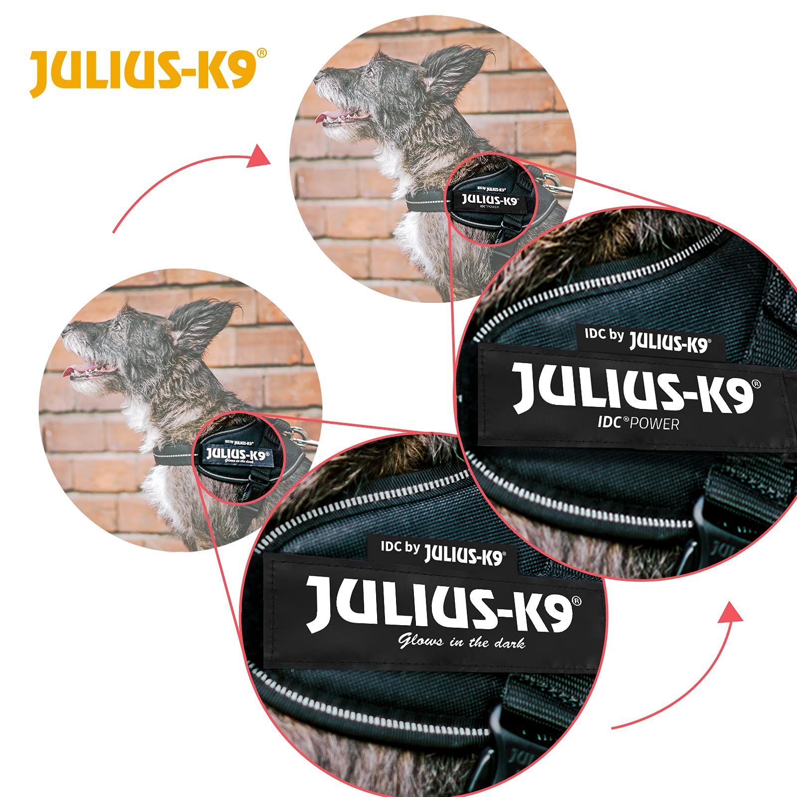 Julius-K9 IDC Powerharness - Vest Harness for Dogs | Size S/Mini | Mixed Heart Limited Edition 7