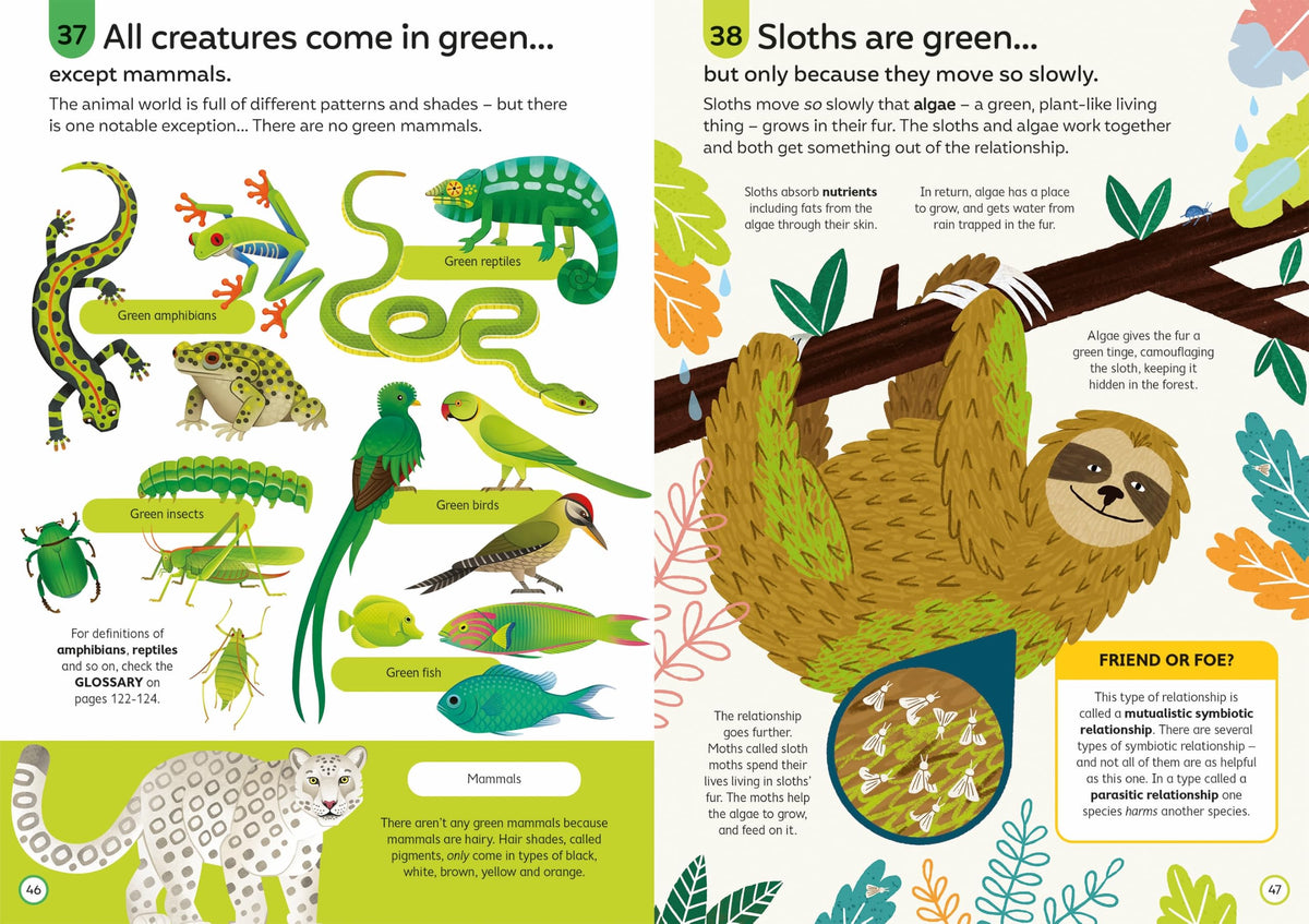 Usborne 100 Things to Know About Wildlife - 128 Pages | Ages 8-11 | Hardcover 4