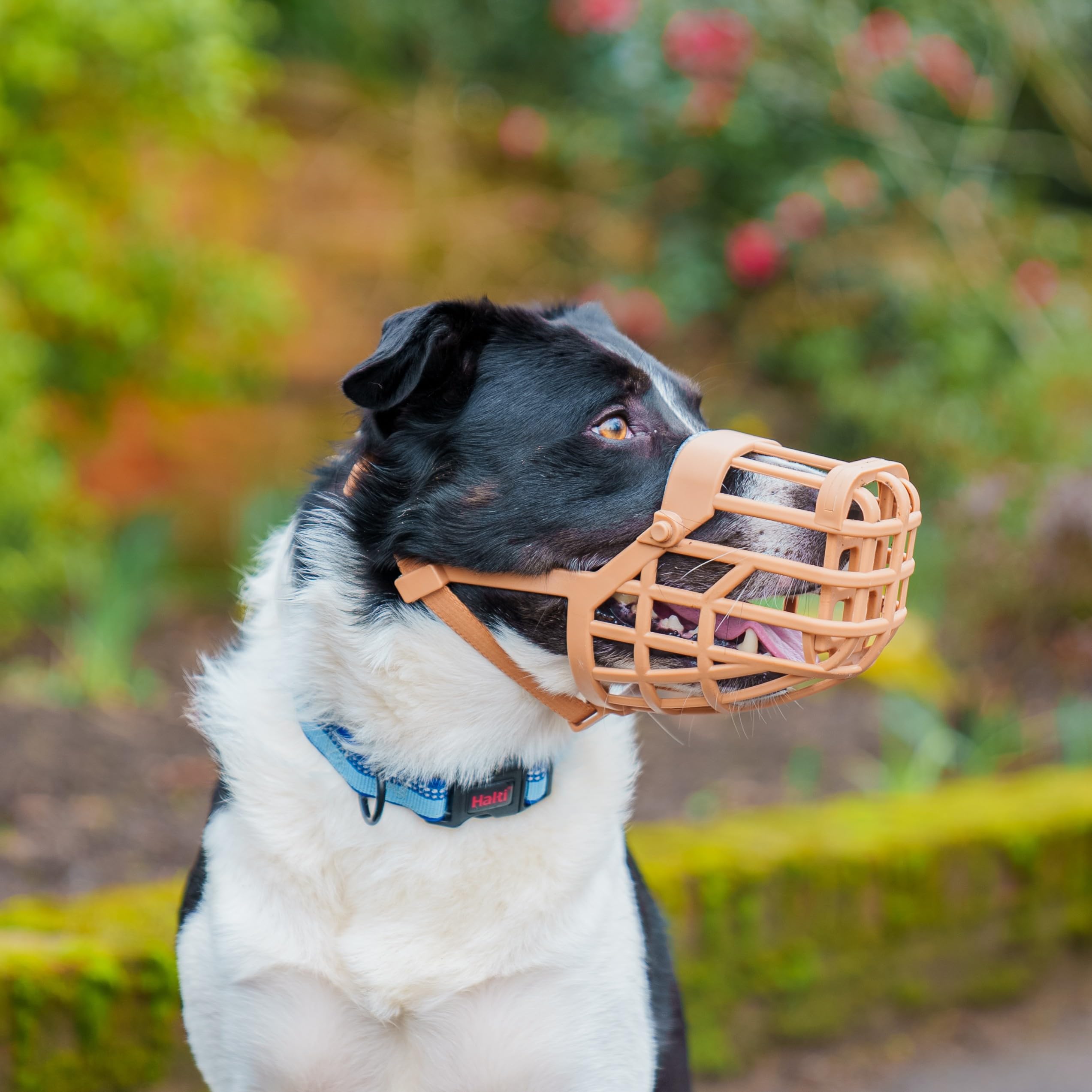 Baskerville Classic Basket Muzzle - Size 5, Prevents Biting & Scavenging | Brown