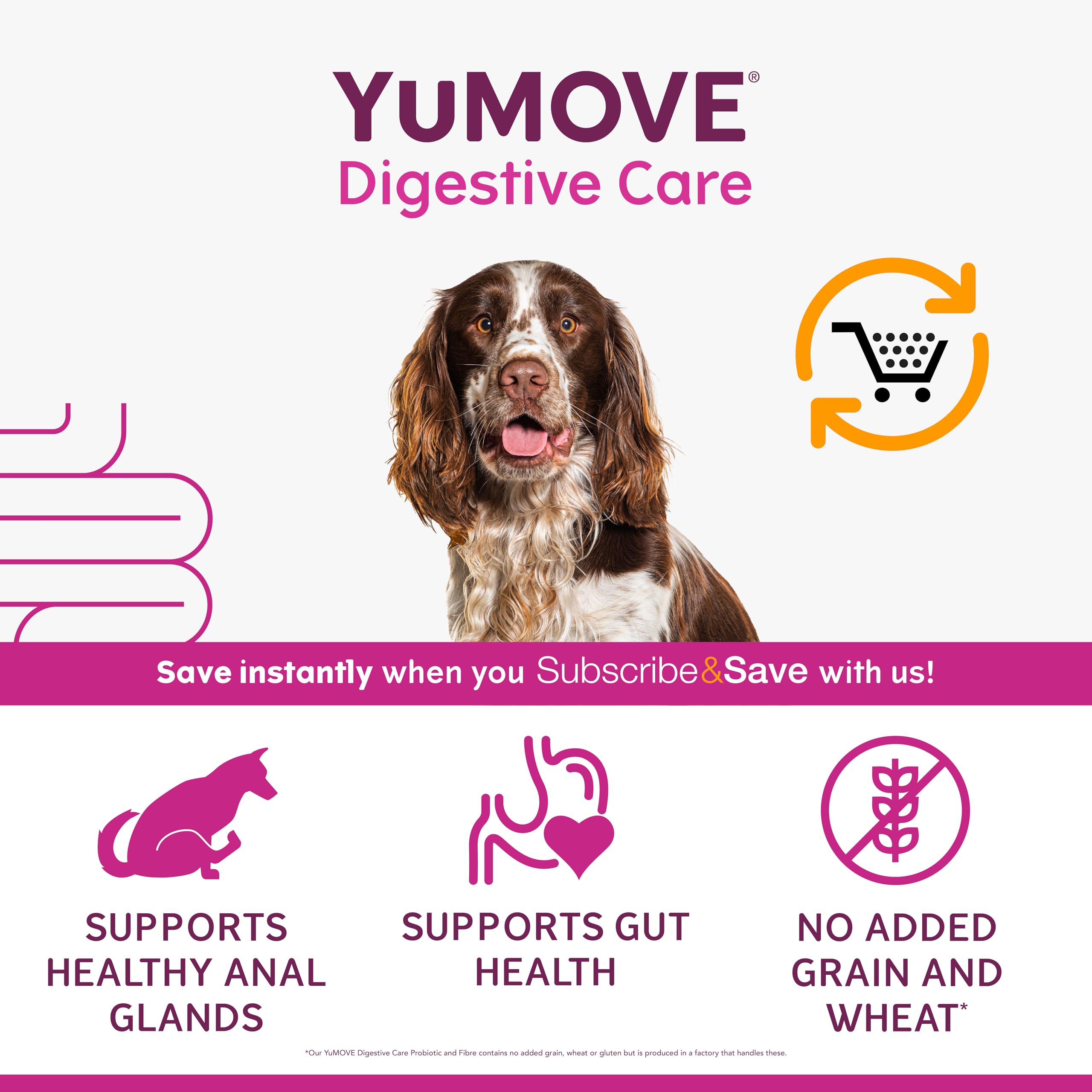 YuMOVE Digestive Care & Fibre Dog Supplement for Gut Health | 180g Powder 4