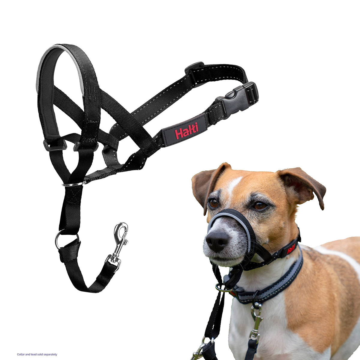 HALTI Headcollar - Size 0, Black, Adjustable Anti-Pull Dog Training Aid