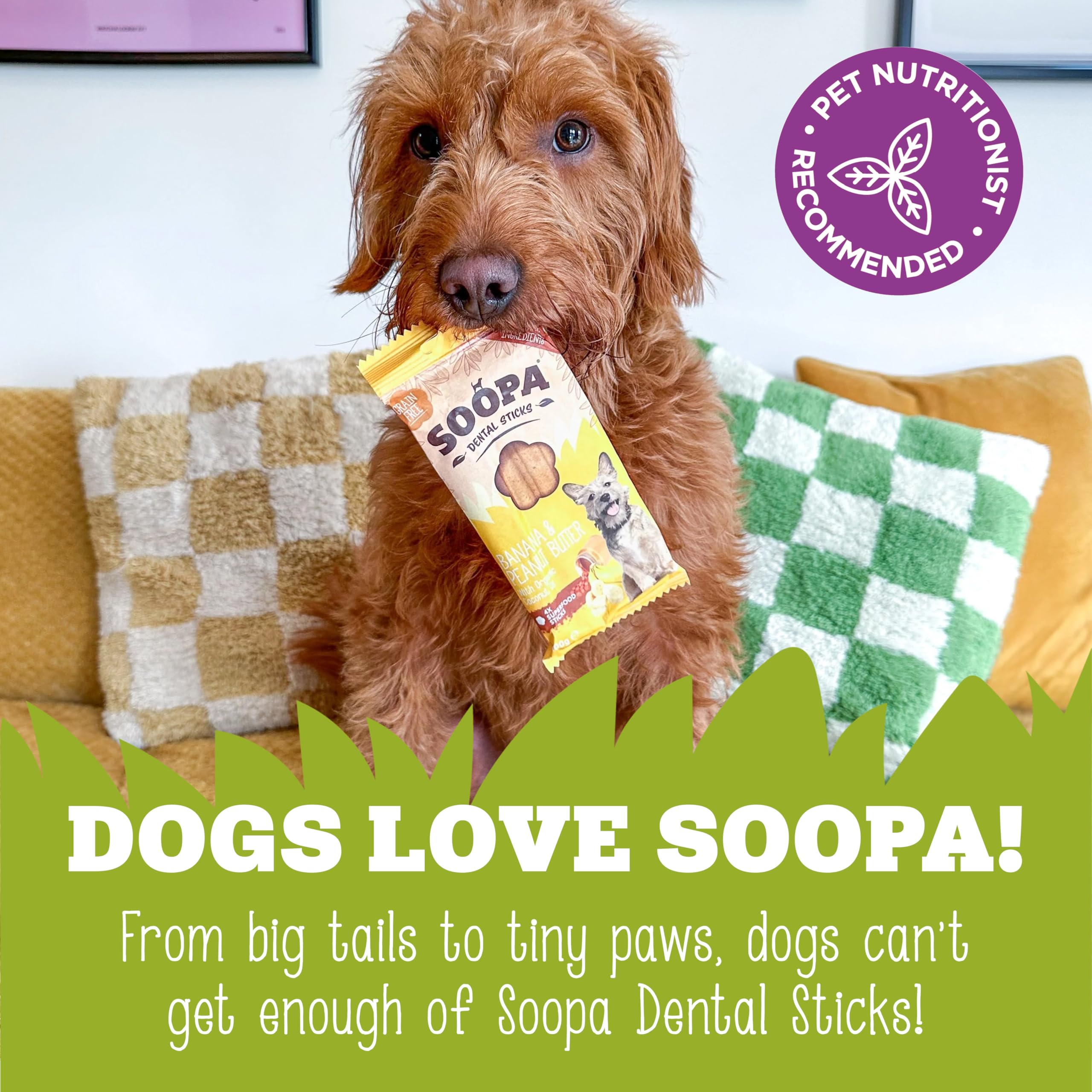 Soopa Senior Banana Pumpkin & Flaxseed Dental Sticks - 100g | Low Fat | Vegan 6