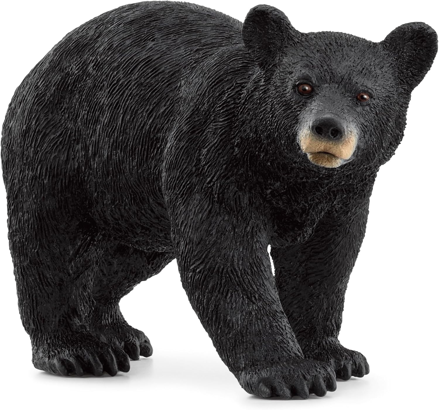 Schleich 14869 American Black Bear Figurine - Detailed Wildlife Toy for Ages 3+ 1