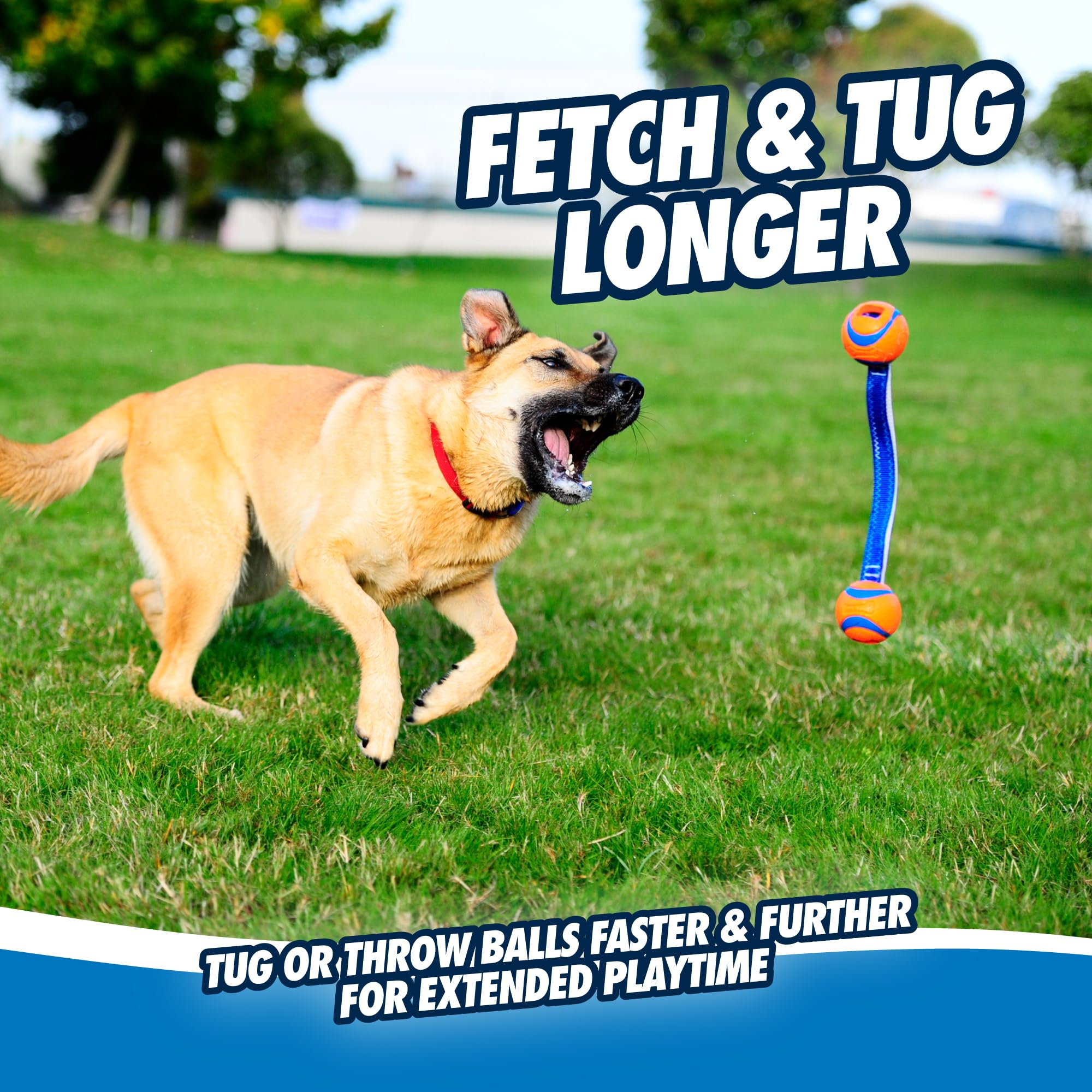Chuckit! Ultra Duo Tug Dog Toy - Medium Size | Natural Rubber | Water Resistant 6
