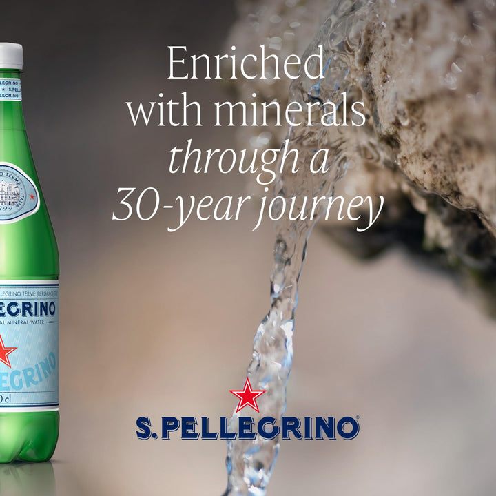 S.Pellegrino Sparkling Natural Mineral Water (500ml)