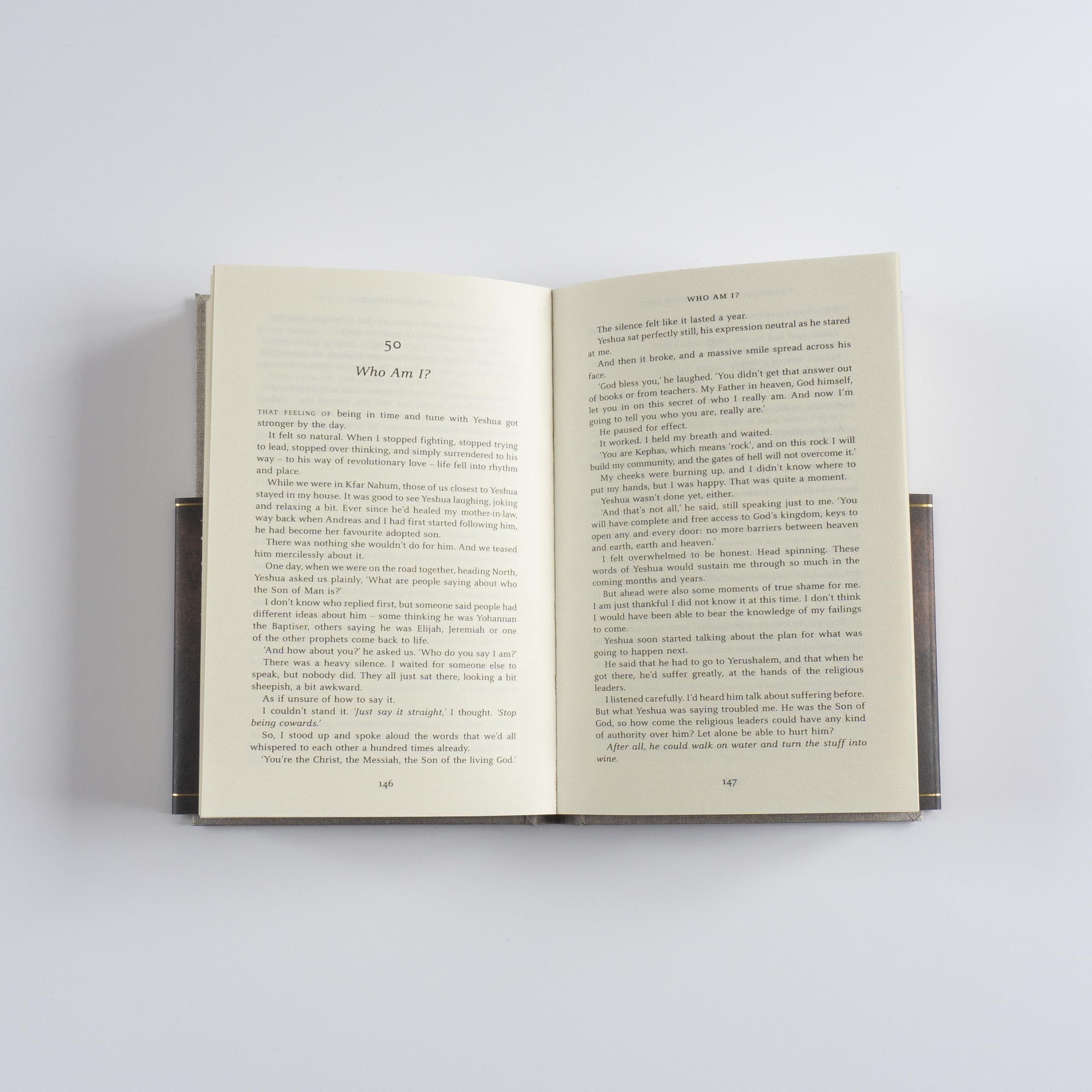 Bear Grylls - The Greatest Story Ever Told: An Eyewitness Account | Hardcover | 288 Pages 3