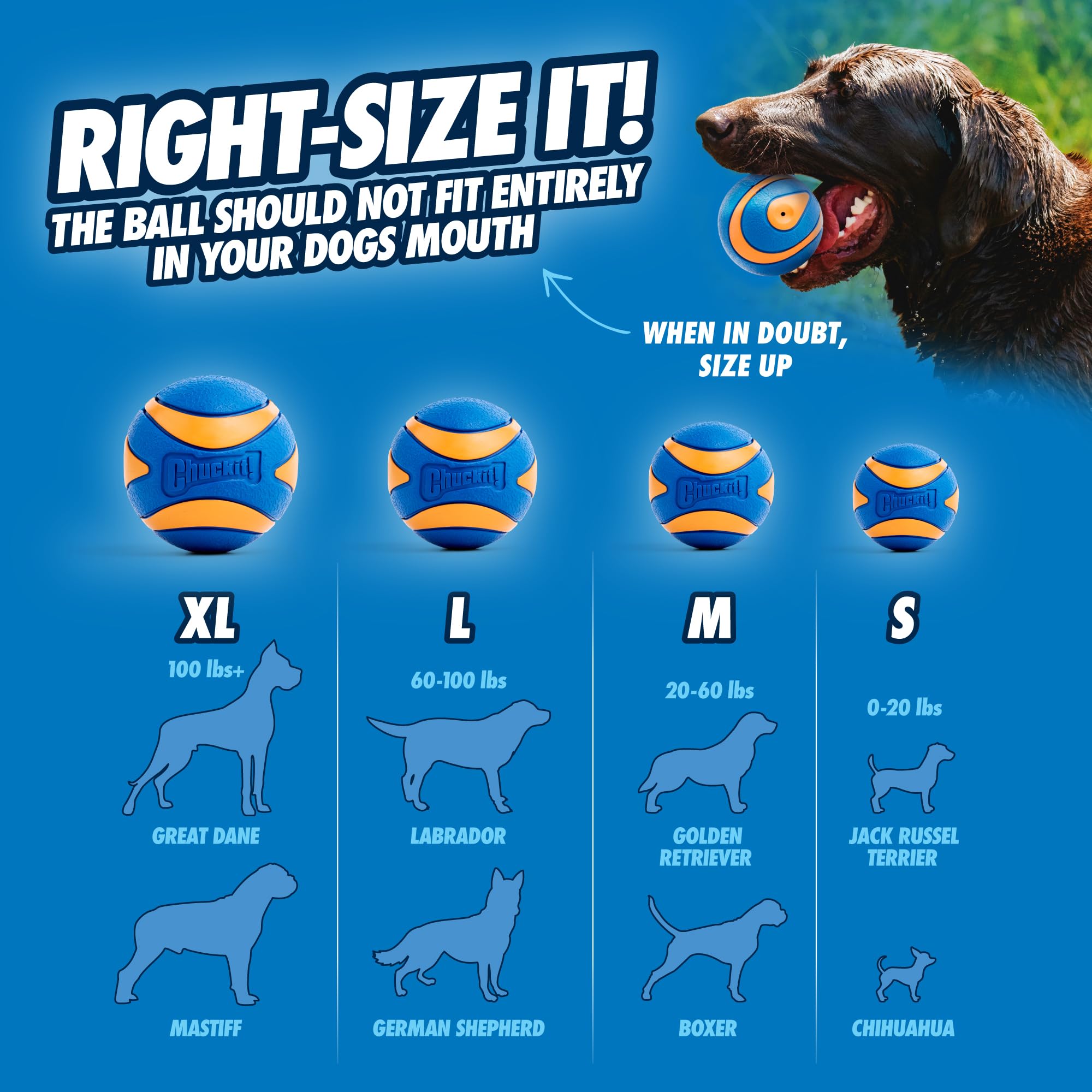 Chuckit! Ultra Squeaker Ball Dog Toy - High Bounce, Floating, Launcher Compatible, X-Large, 1 Pack 6
