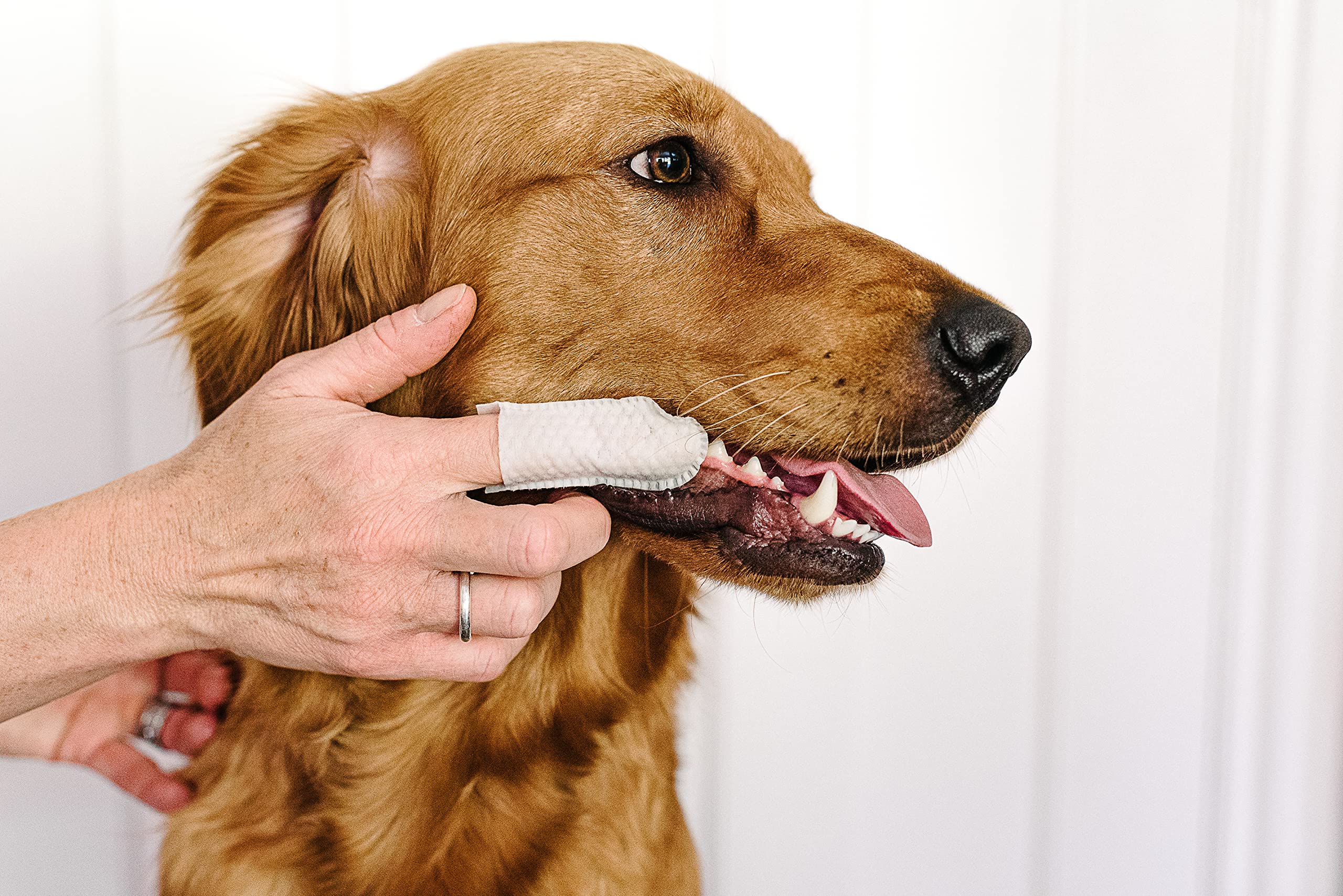 pet wiz Dental Finger Wipes - Removes Plaque & Tartar, Promotes Gum Health | Pack of 50 3
