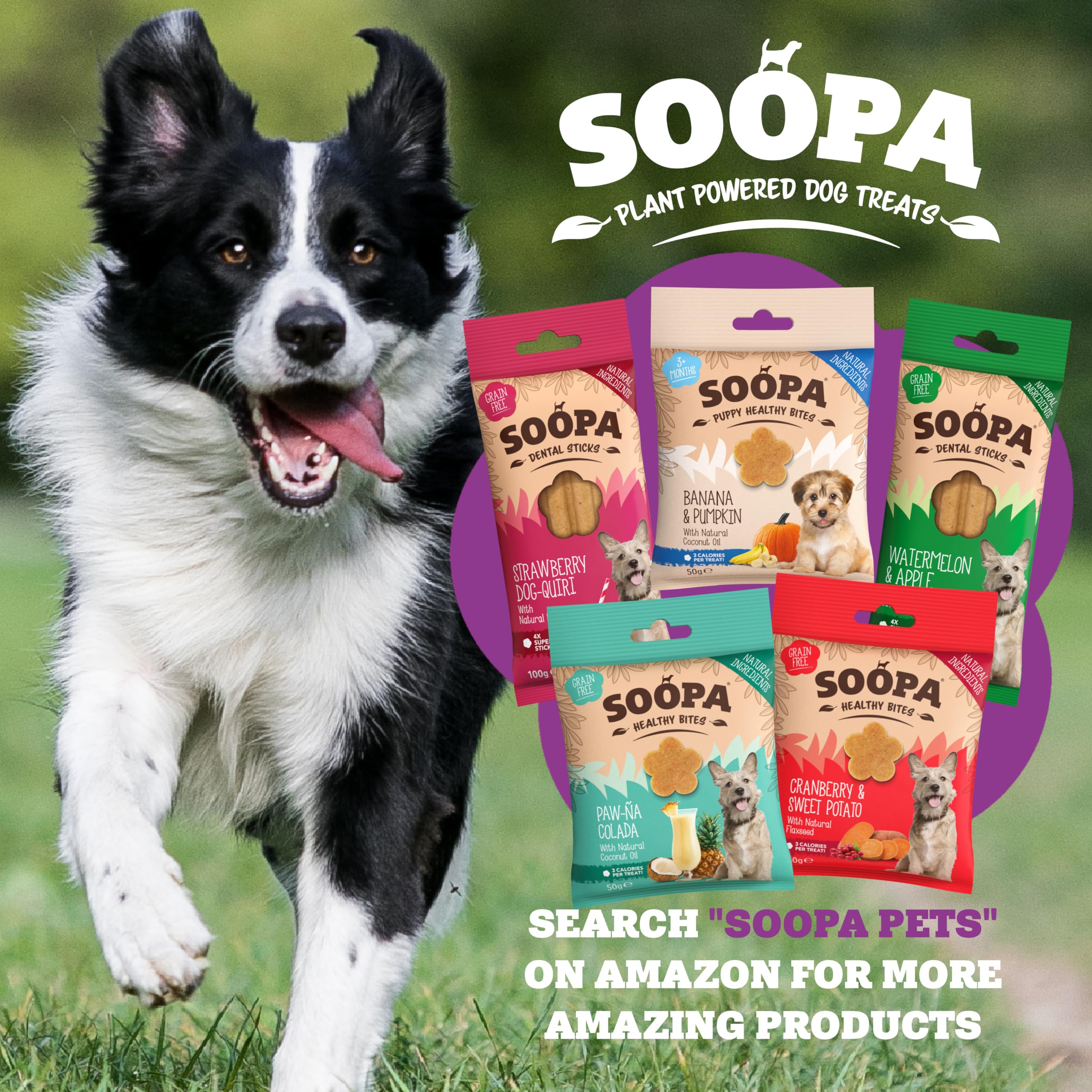 Soopa Senior Banana Pumpkin & Flaxseed Dental Sticks - 100g | Low Fat | Vegan 7