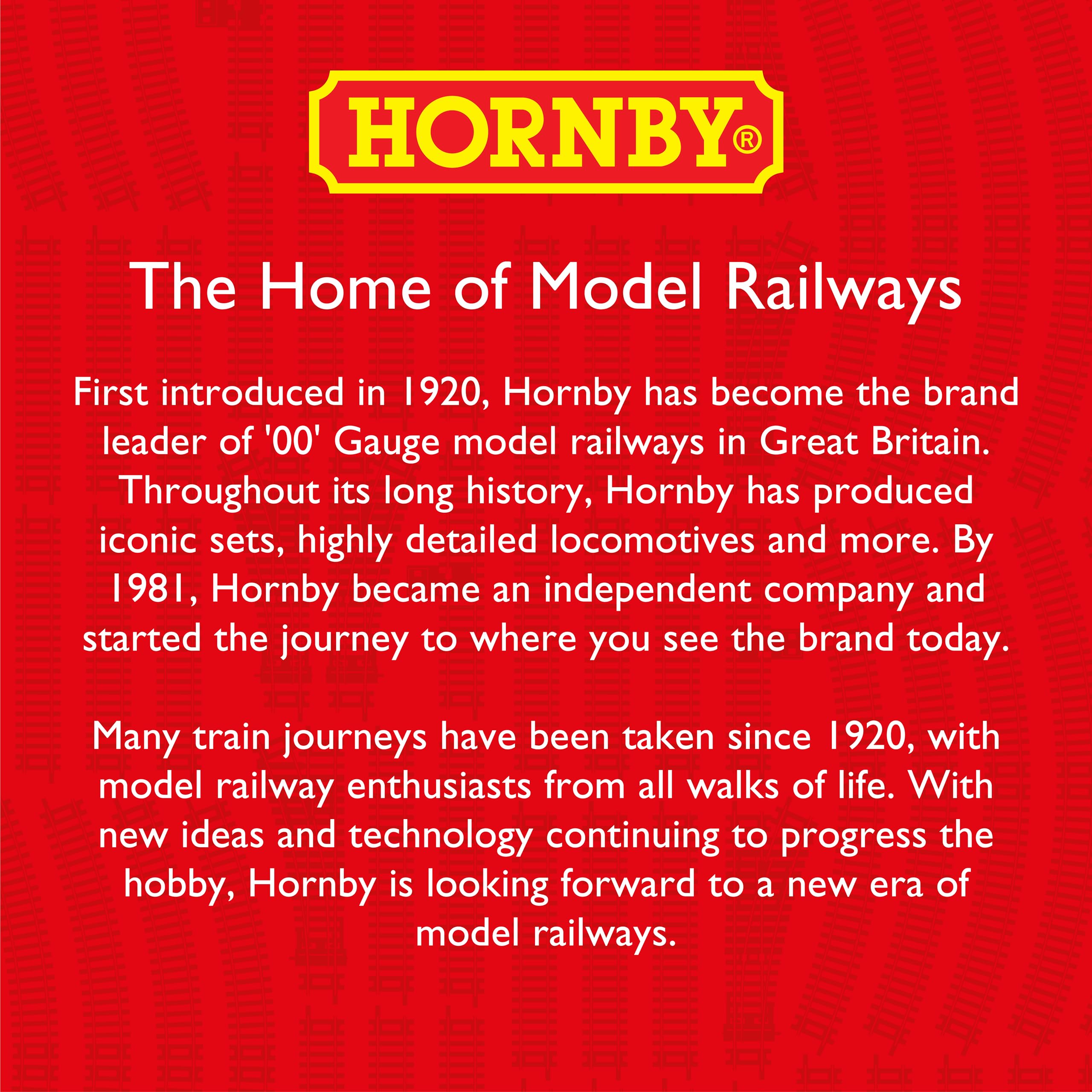 Hornby R8225 OO Gauge Track Extension Pack E - 7-Piece Model Railway Track Set with Straight, Curve, and Point Tracks 9