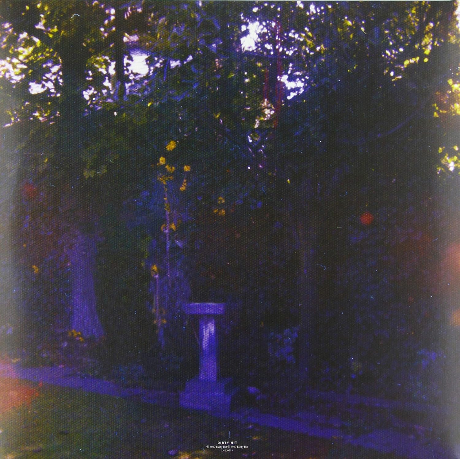 Wolf Alice - Visions Of A Life [Audio CD] 2