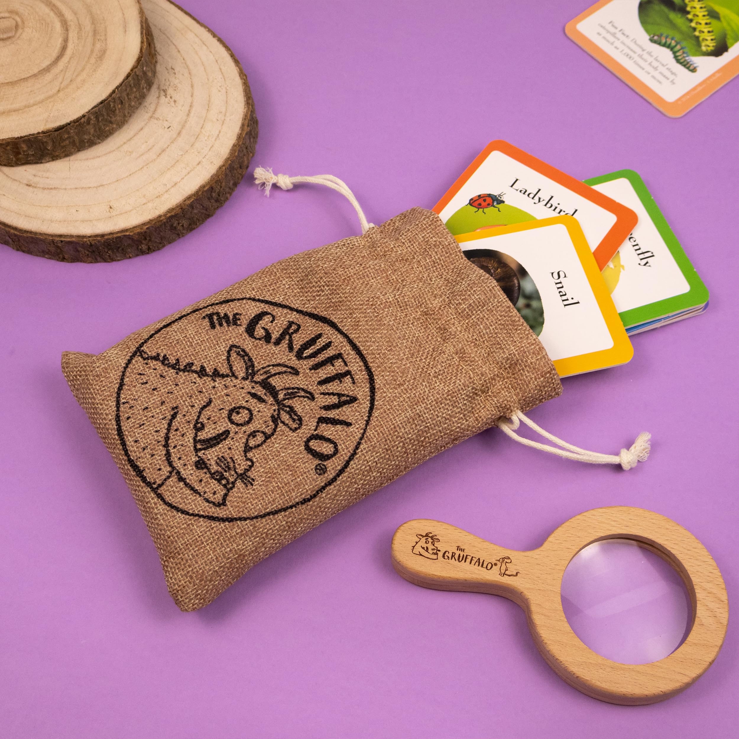 The Gruffalo Bug Spotter Activity Set - Nature Exploration for Kids 12