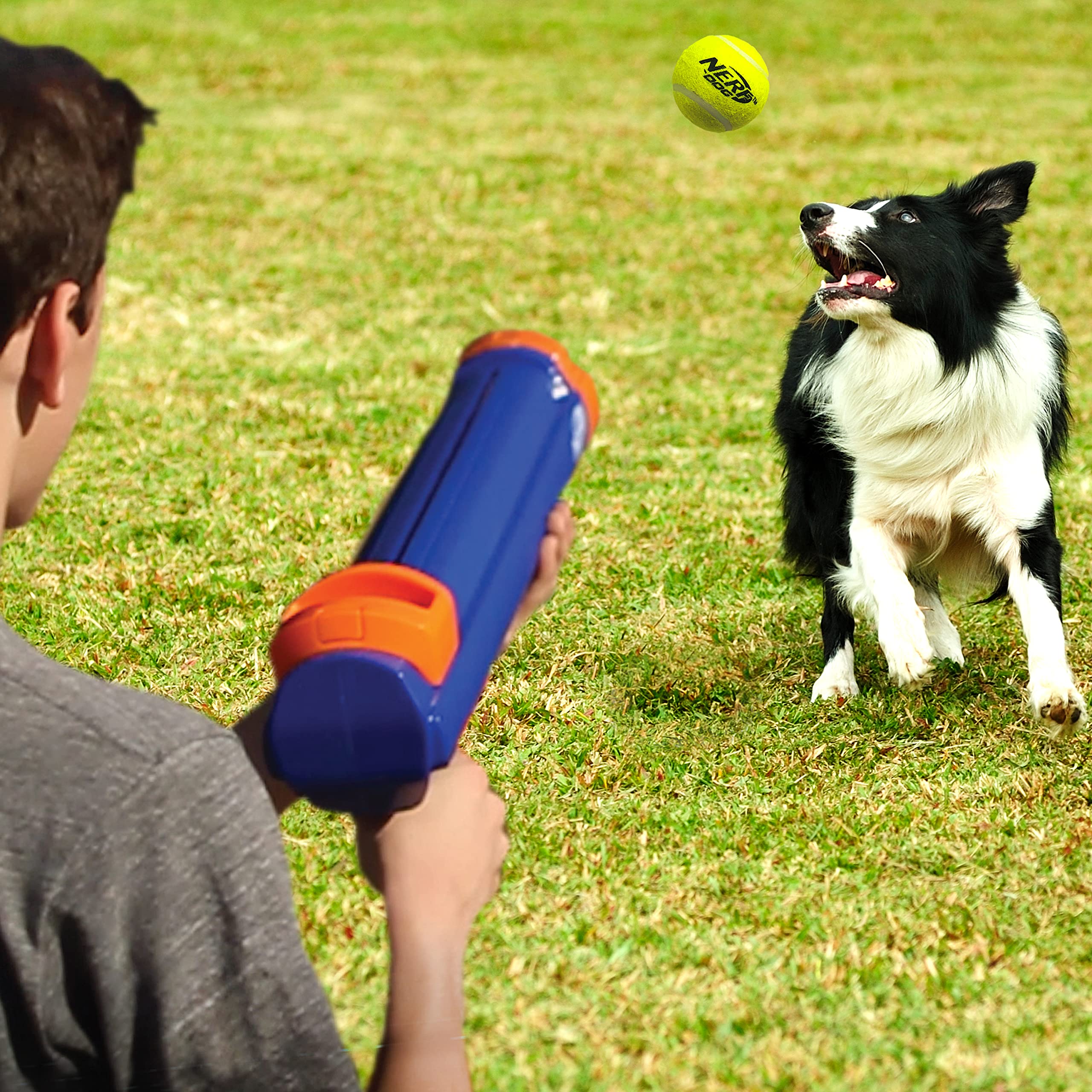 Nerf Dog 12in Blaster w/o Ball Clip | Shoots Up to 50 Feet | Includes 3 Squeak Tennis Balls 5