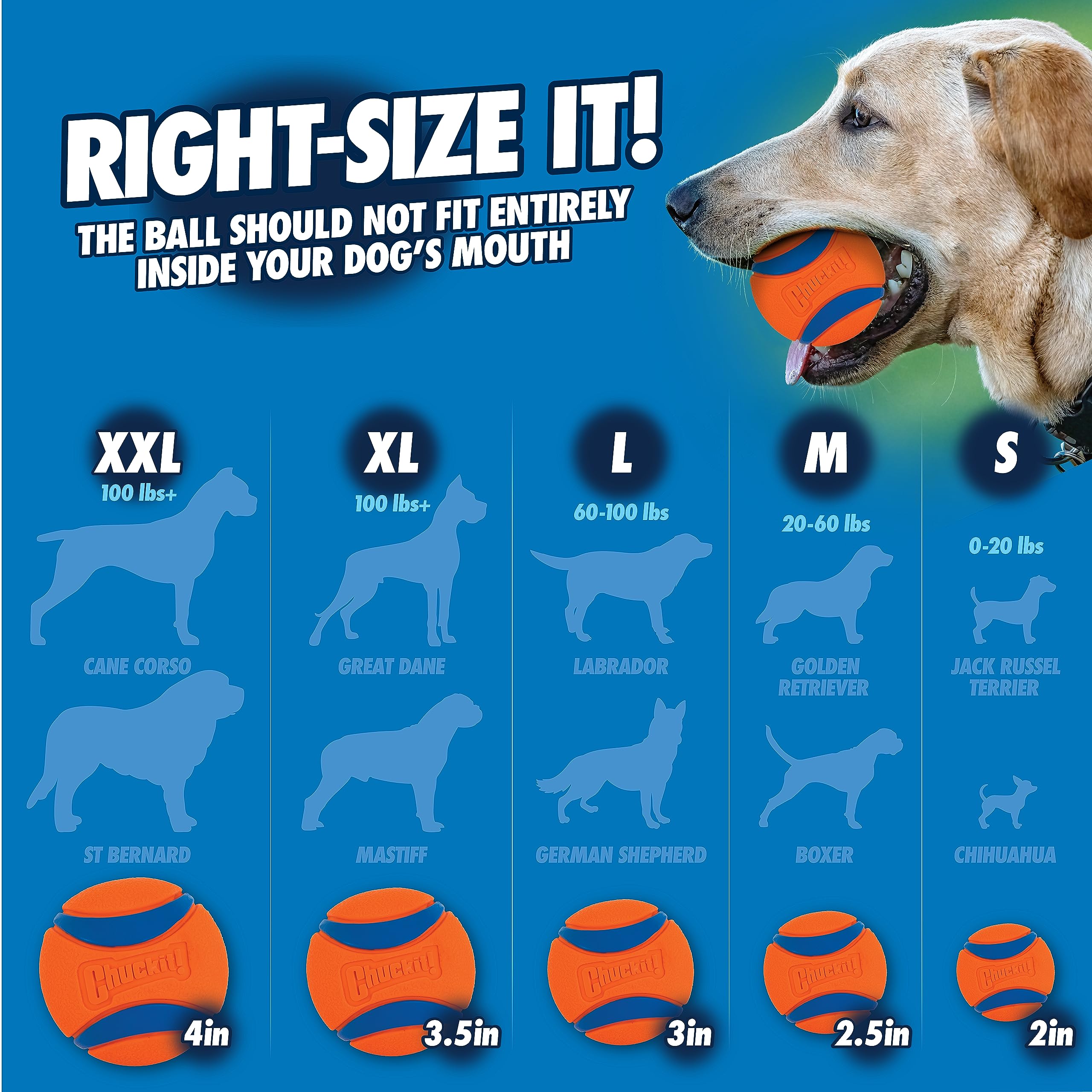 Chuckit! Fetch & Fold Dog Ball Launcher - Portable, Hands-Free Fetch | Medium Ball Included 6