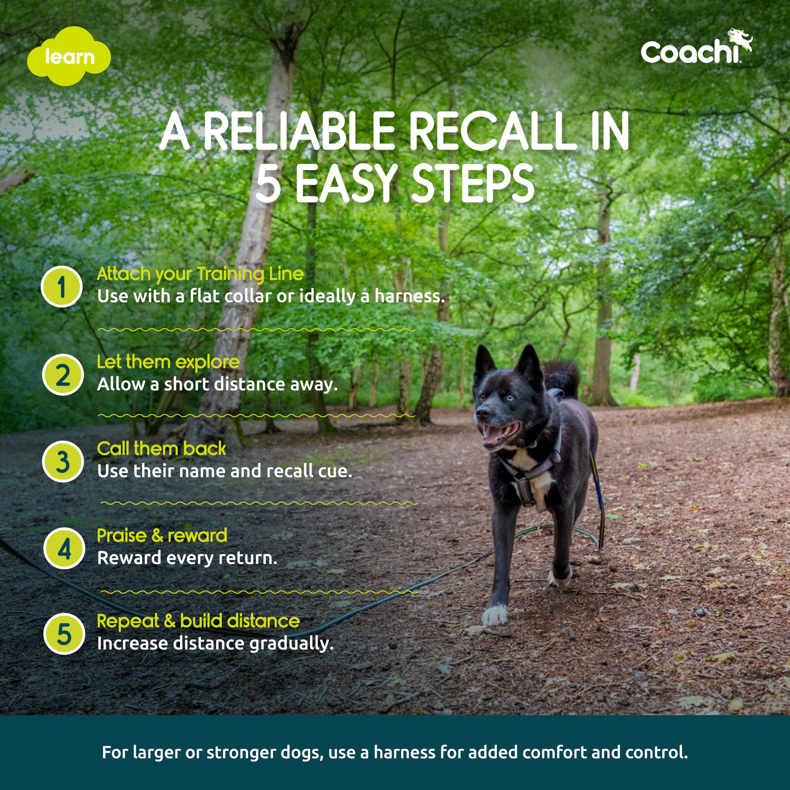 Coachi 5m Training Lead - Recall Training | Lightweight Nylon 5