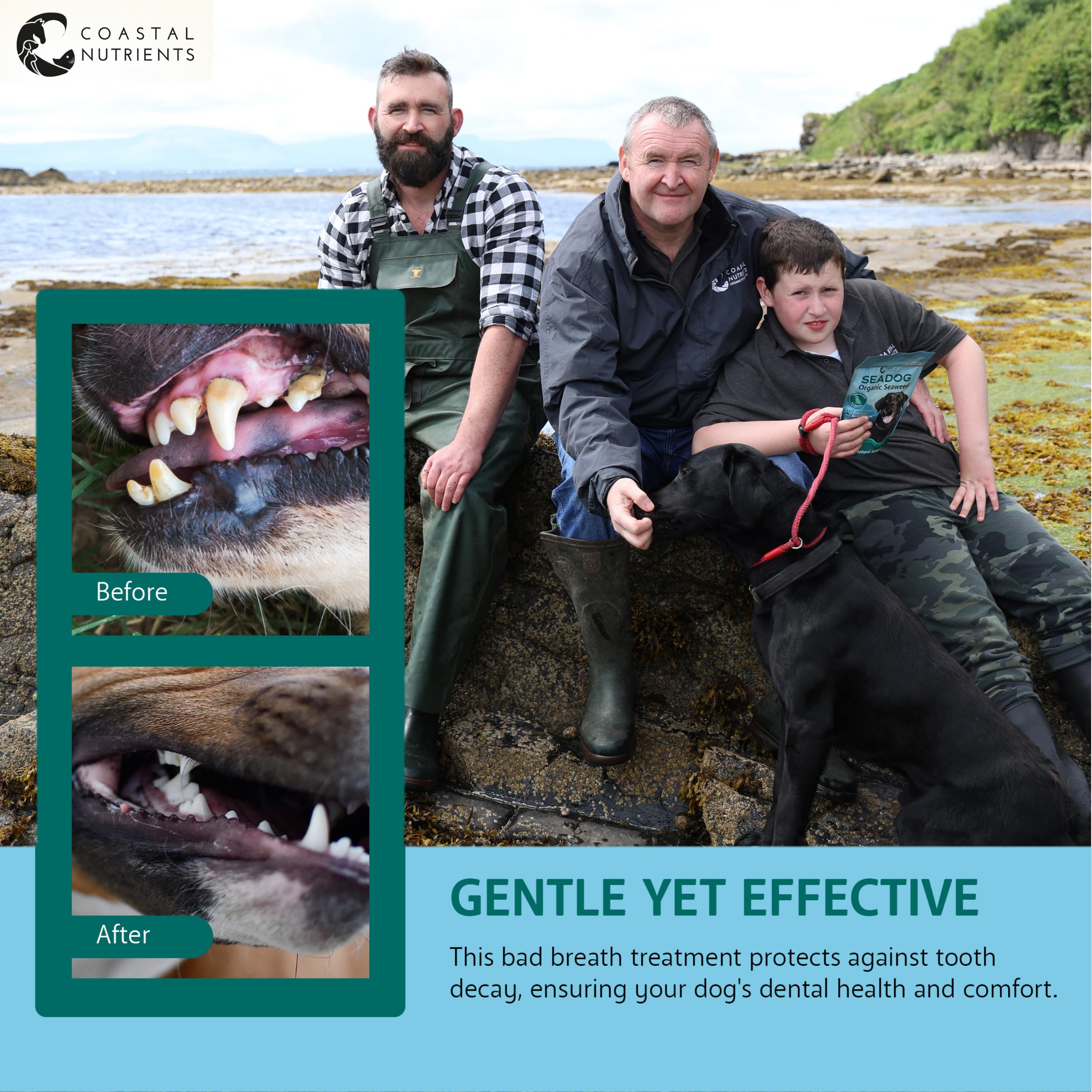Coastal Nutrients Sea Dog Dental Powder for Dogs - Oral Hygiene & Gut Health | 250 g 2