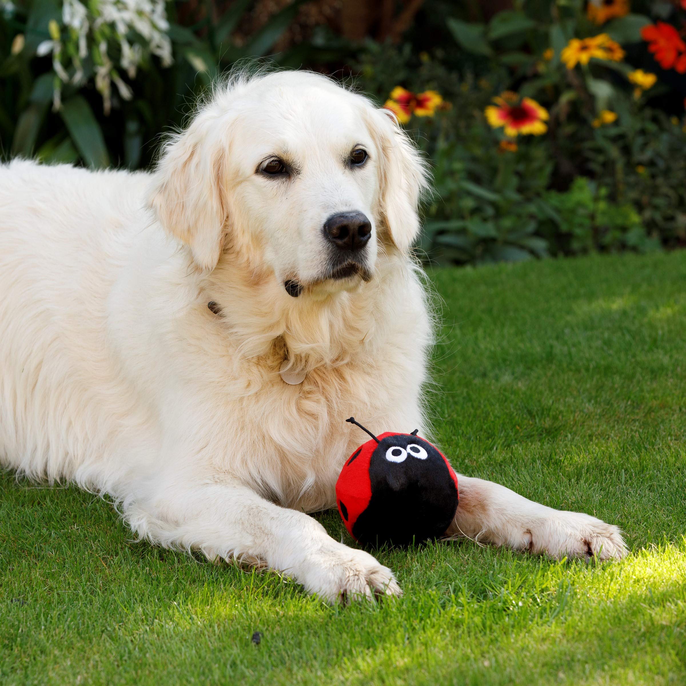 Petface Lindy The Ladybird Plush Dog Toy | Soft & Squeaky | Lightweight 7