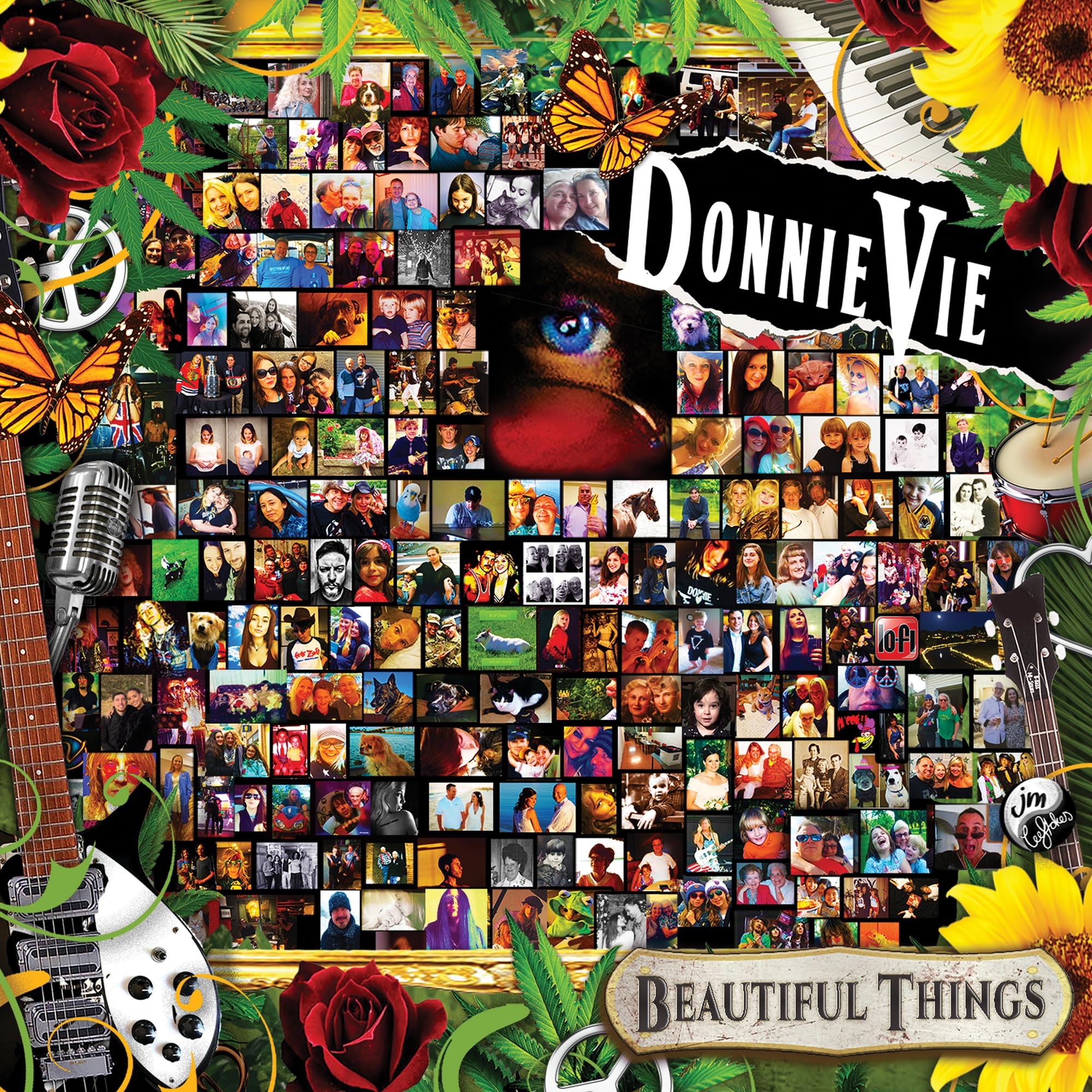 Donnie Vie - Beautiful Things [CD]