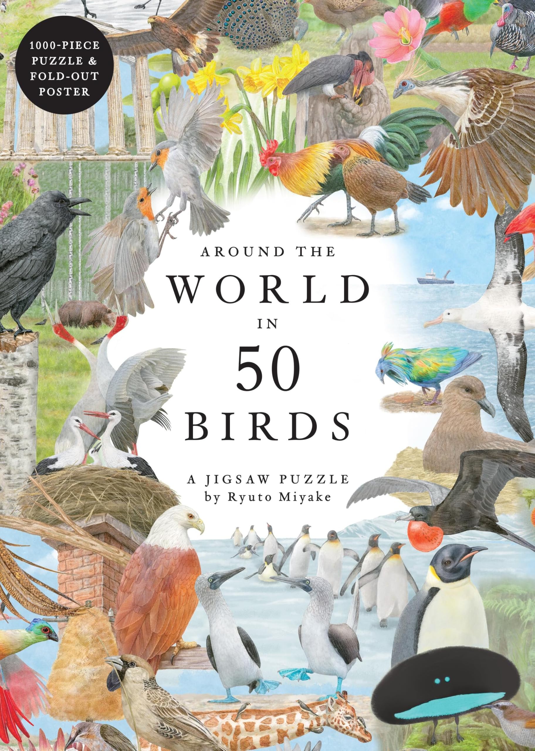 Around the World in 50 Birds: 1000-Piece Jigsaw Puzzle by Laurence King Publishing 7