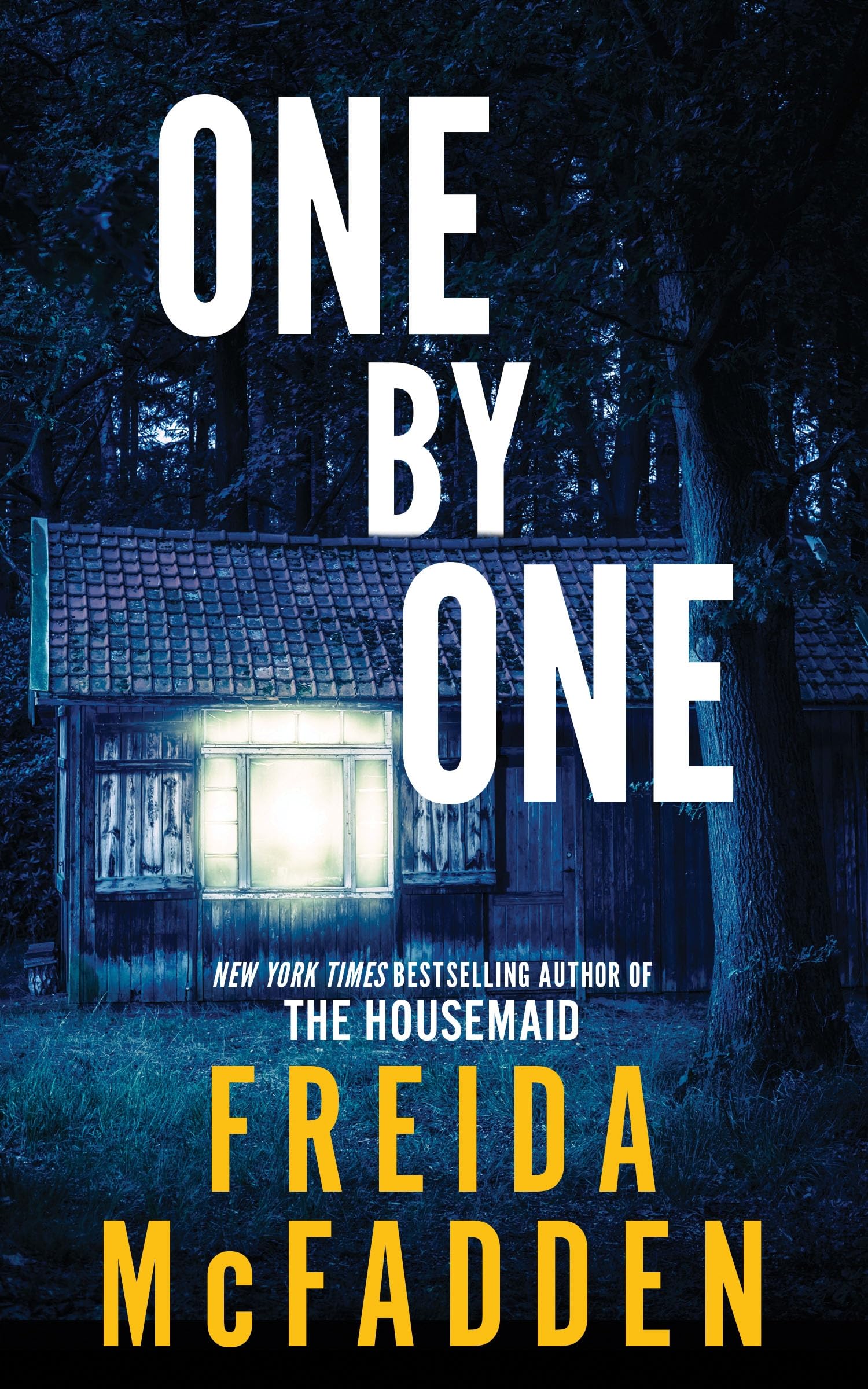 McFadden, Freida - One by One | Paperback Thriller
