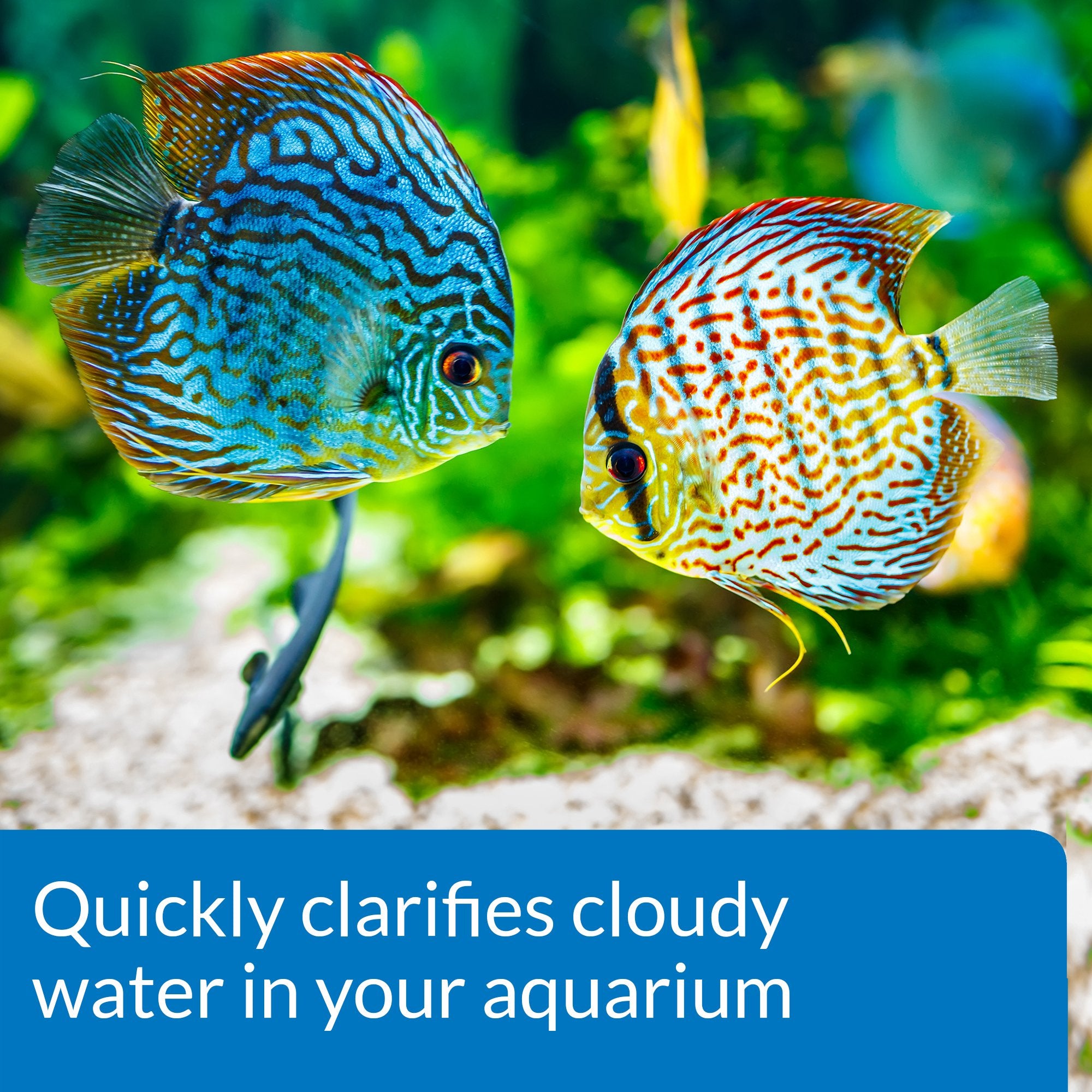 API ACCU-CLEAR Freshwater Aquarium Water Clarifier - Clears Cloudy Water Fast | 118 ml Bottle 3