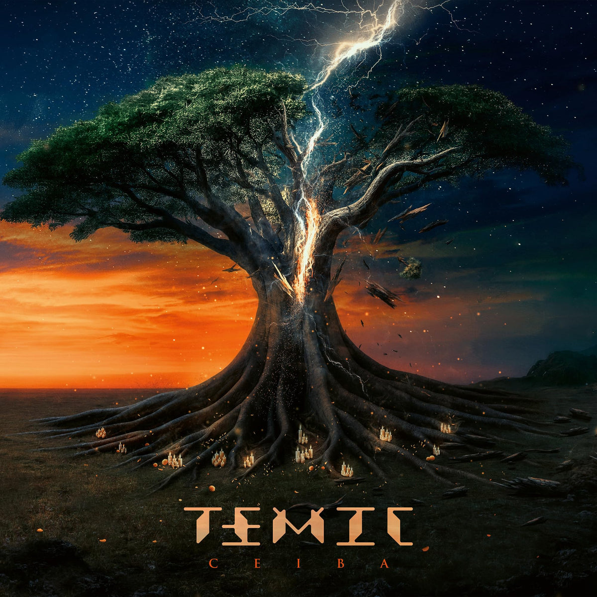 TEMIC - Ceiba [2LP Vinyl]