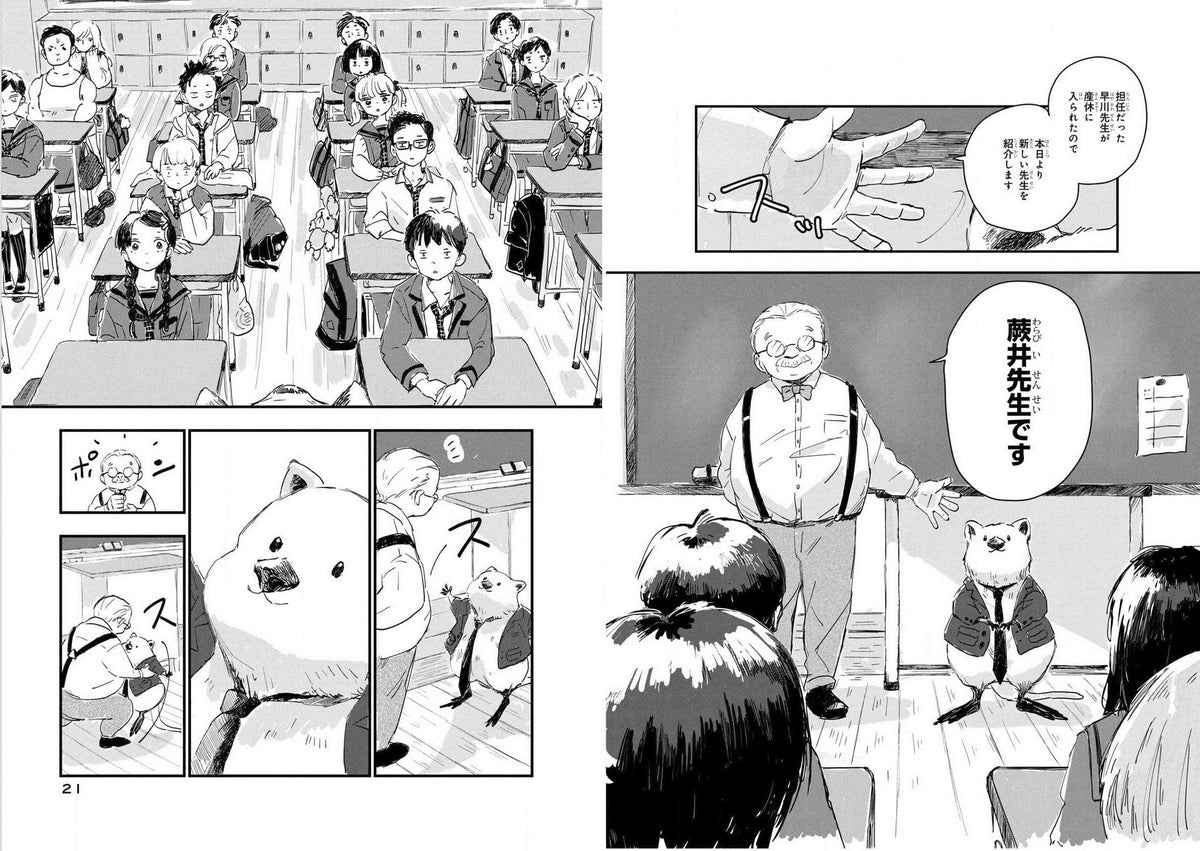 Kodansha Comics Say Hello to Mr. Wallaby! 1 - Slice-of-Life Manga | English Language | Paperback 3