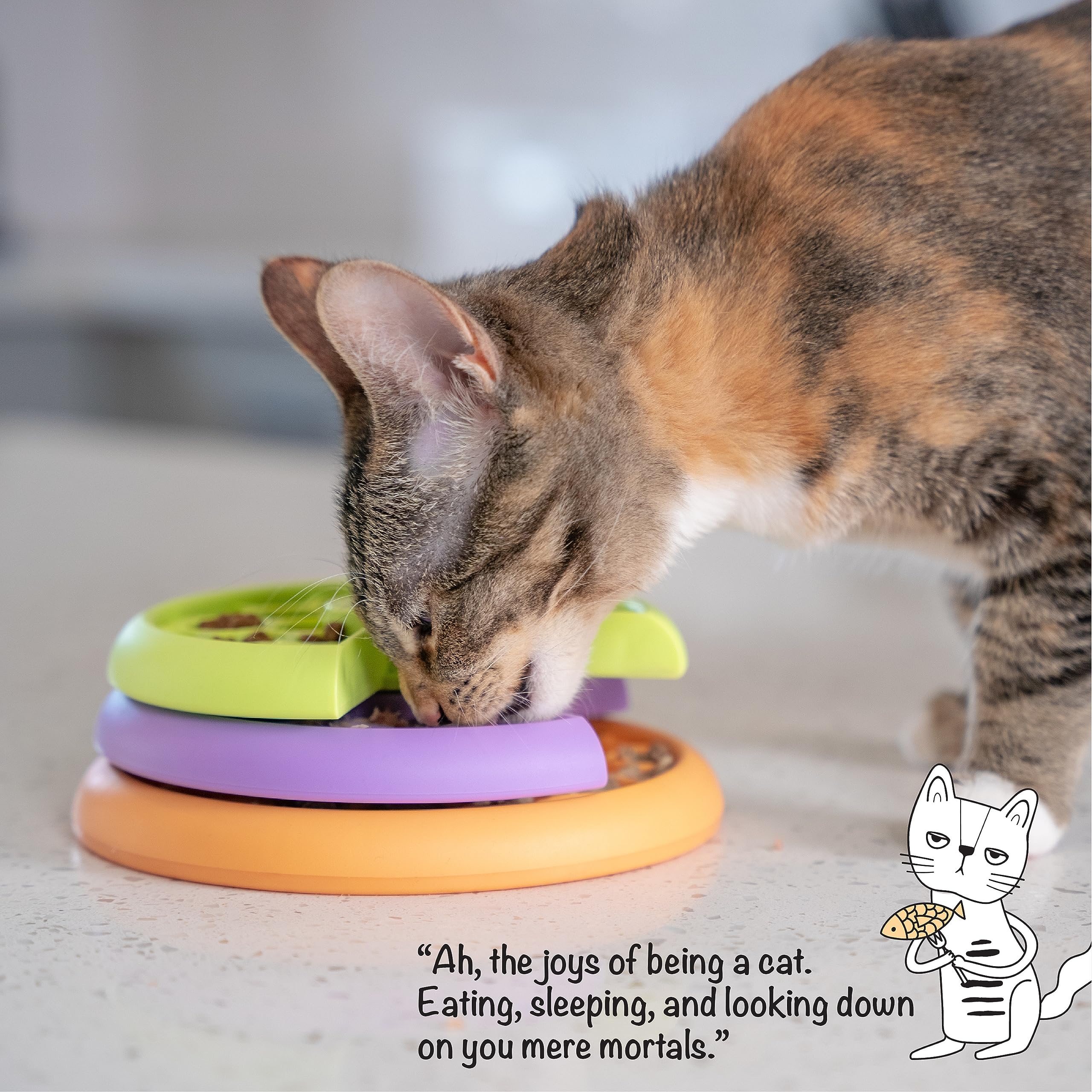 Catstages Nina Ottosson Slow Feeder Cat Bowl - Intermediate Puzzle Feeder | 80 Compartments | Plastic 7