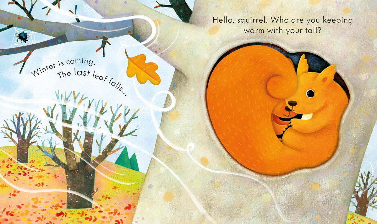 Usborne Peep Inside Autumn Board Book - Ages 3+ 4