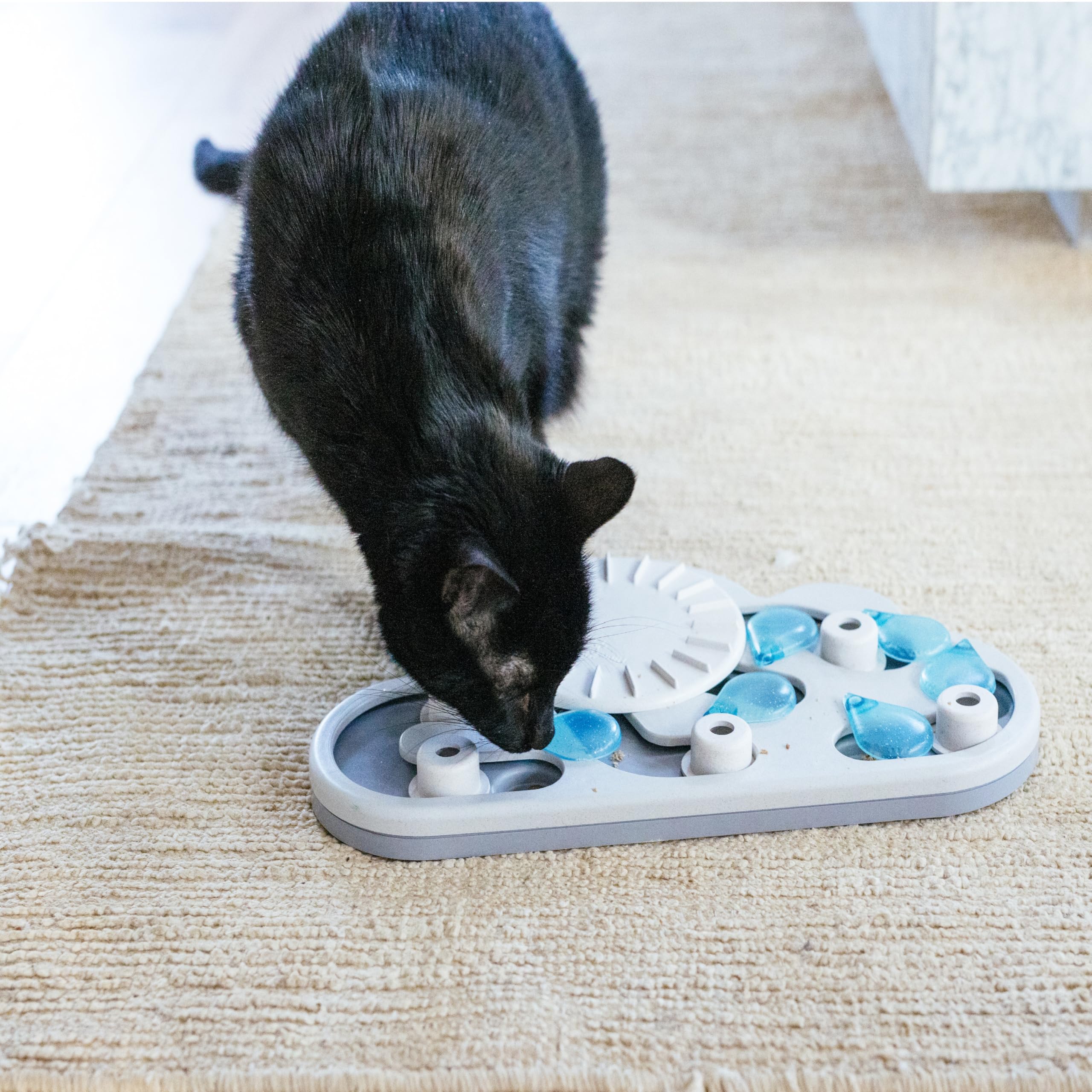 Catstages Nina Ottosson Rainy Day Puzzle Treat Dispenser for Cats | Wood Plastic Composite | Intermediate Level 8