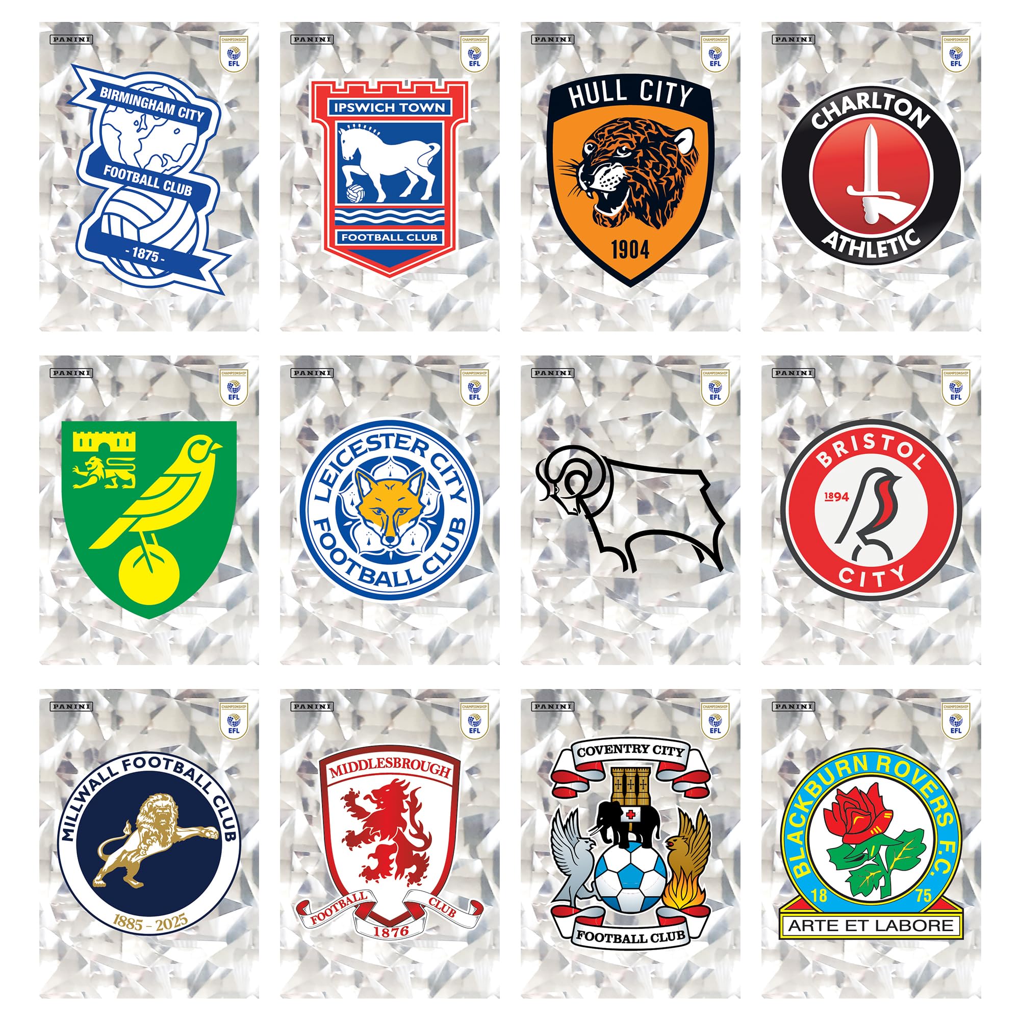 Panini EFL 2026 Sticker Collection - Starter Pack | 788 Stickers to Collect 6