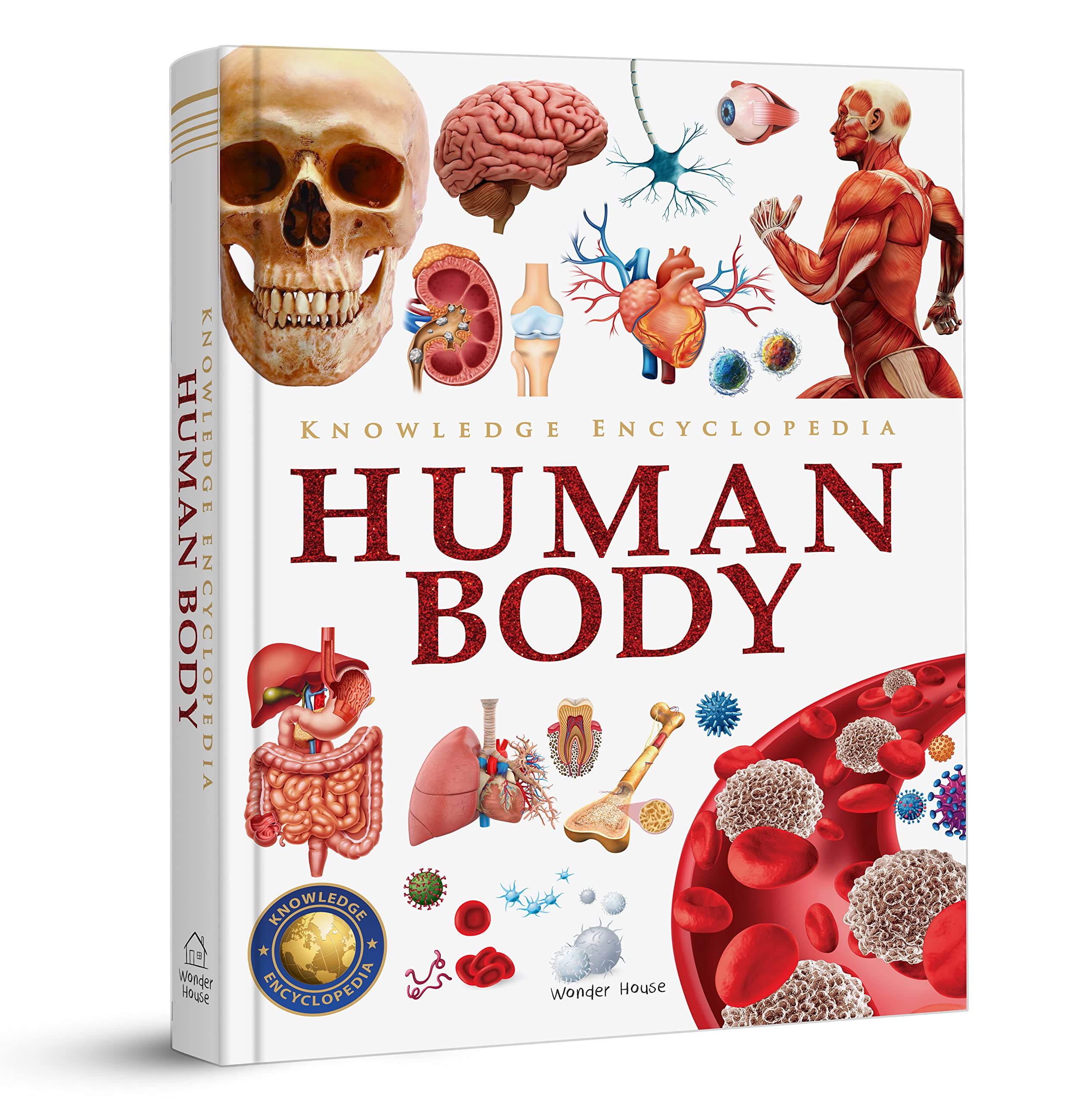 Wonder House Books Knowledge Encyclopedia Human Body - Hardcover, 1080 Pages, Ages 3-4 1