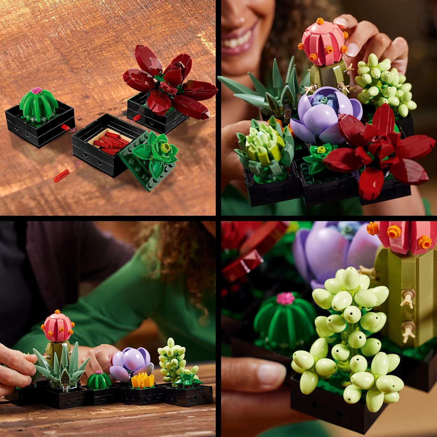 LEGO 10309 Icons Succulents Set - Artificial Plants for Adults, Home Décor & Building 5