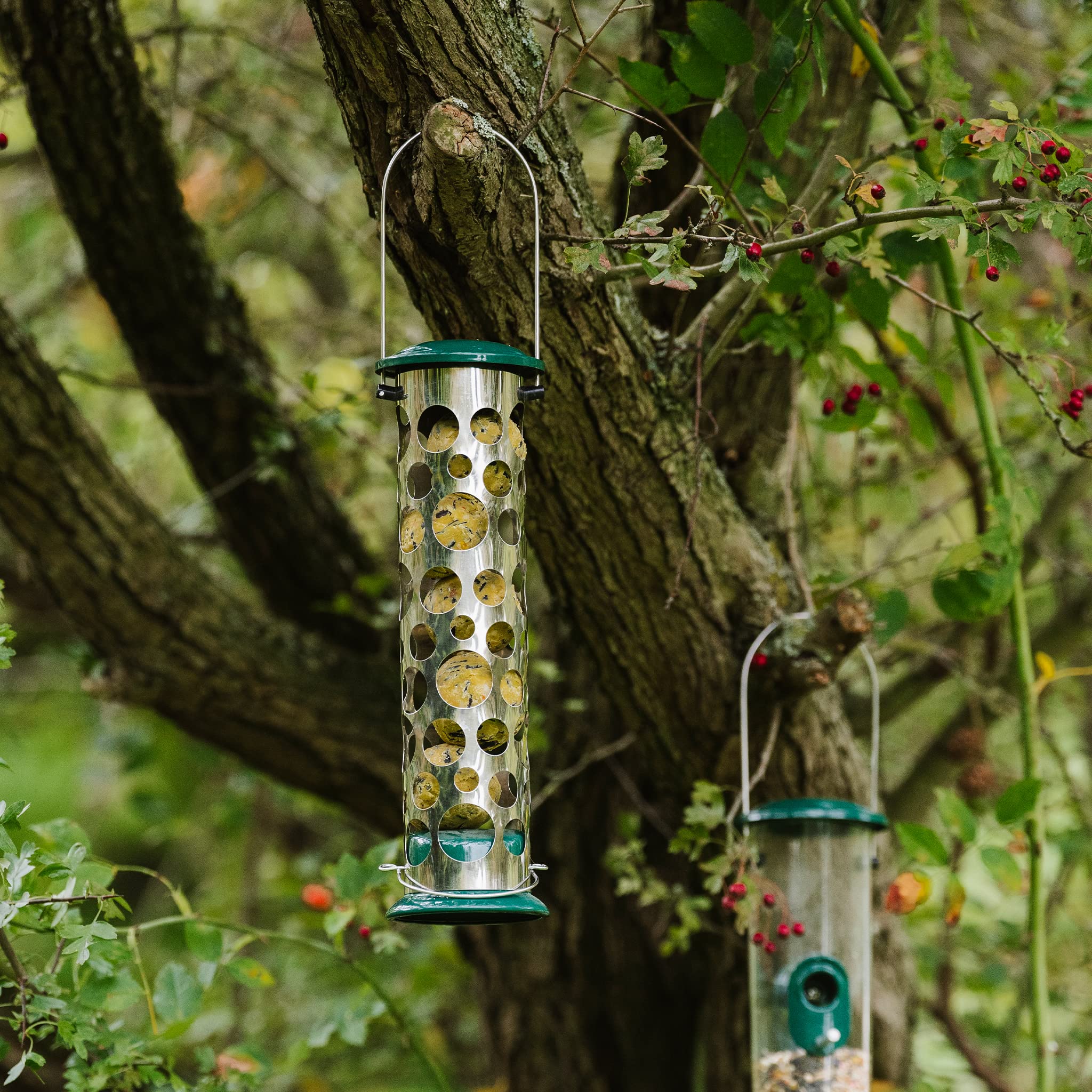 Peckish All Weather Metal Energy Suet Fat Ball Bird Feeder | Holds 4 Balls | Large 7