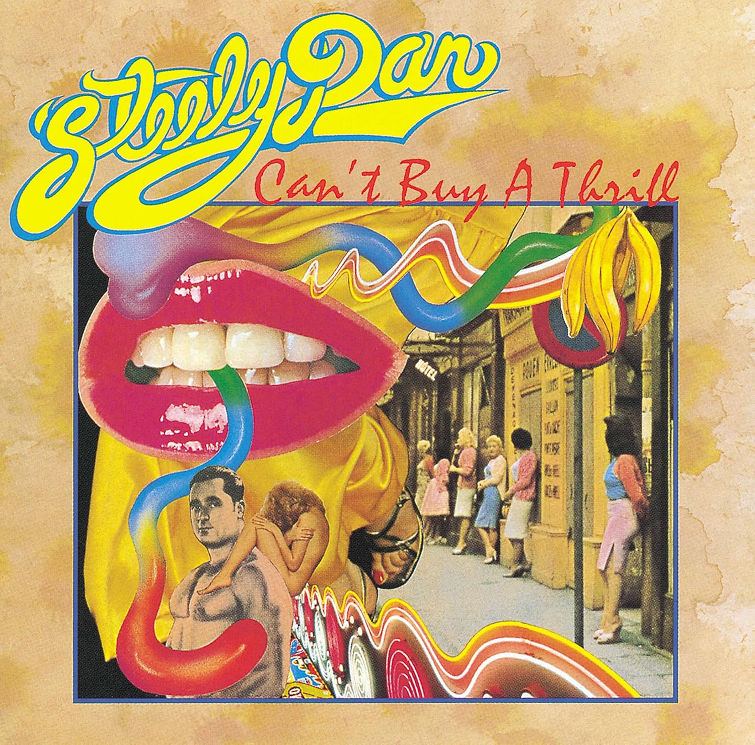 Steely Dan - Can't Buy A Thrill [VINYL]