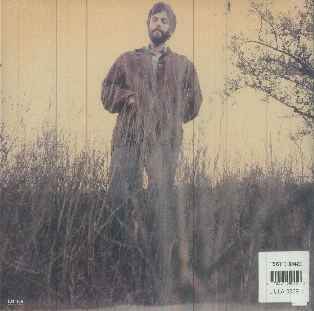 Ray LaMontagne - Trouble [Vinyl]