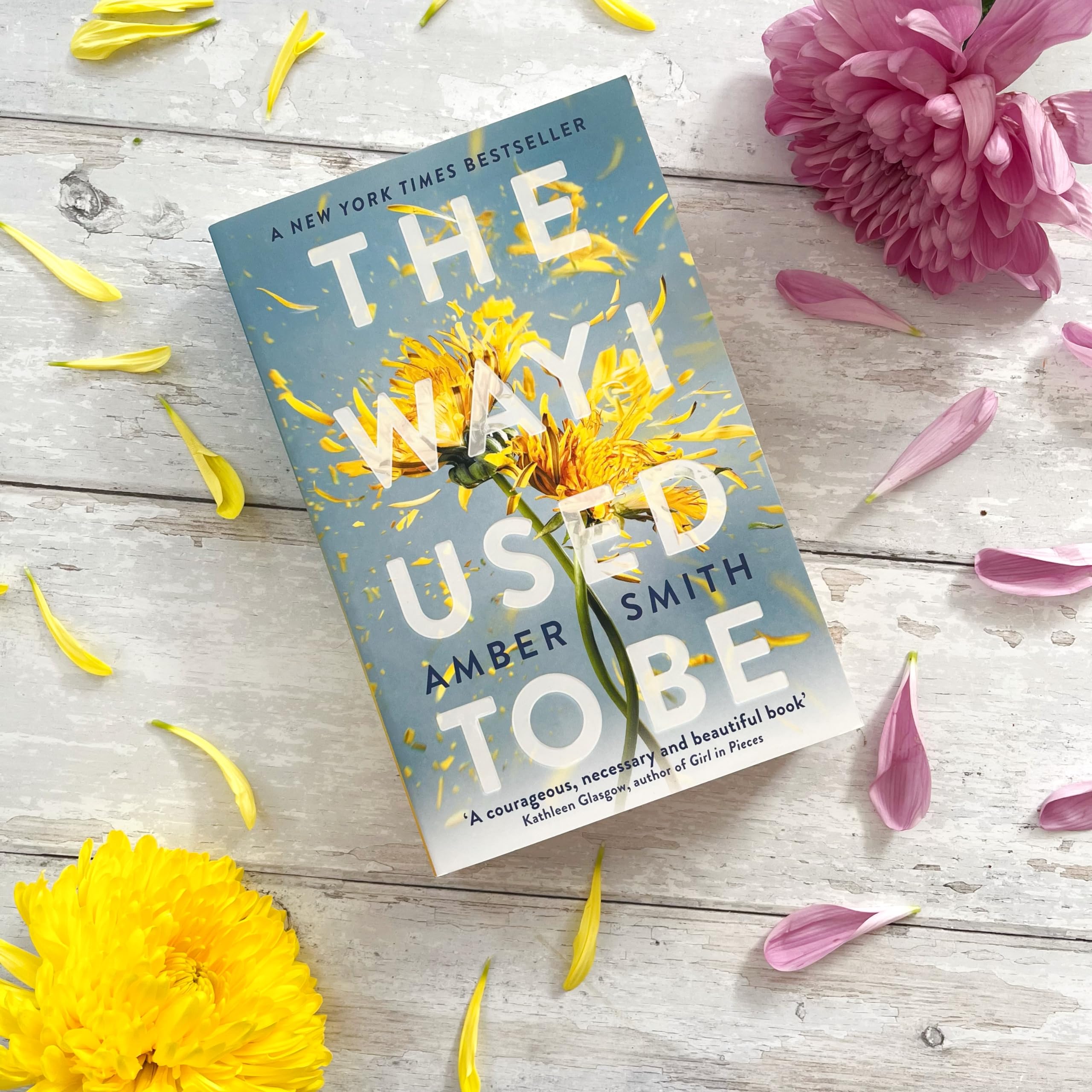 Amber Smith - The Way I Used to Be | Young Adult Literature & Fiction 2