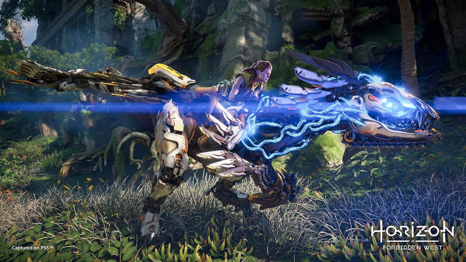 Horizon Forbidden West - PS5 12