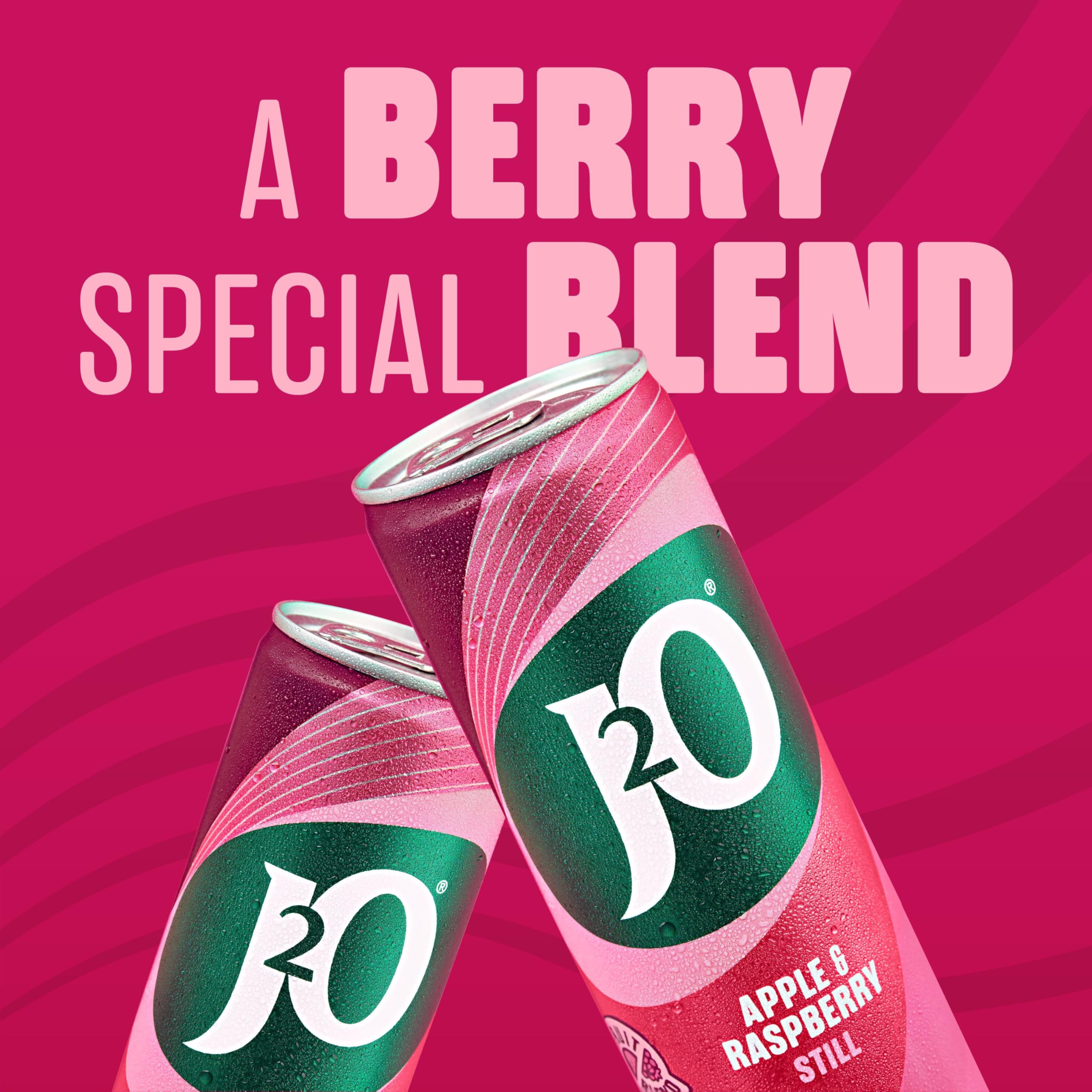J2O Apple & Raspberry Fruit Drink Cans - 4 x 250ml Pack | Low Calorie 3