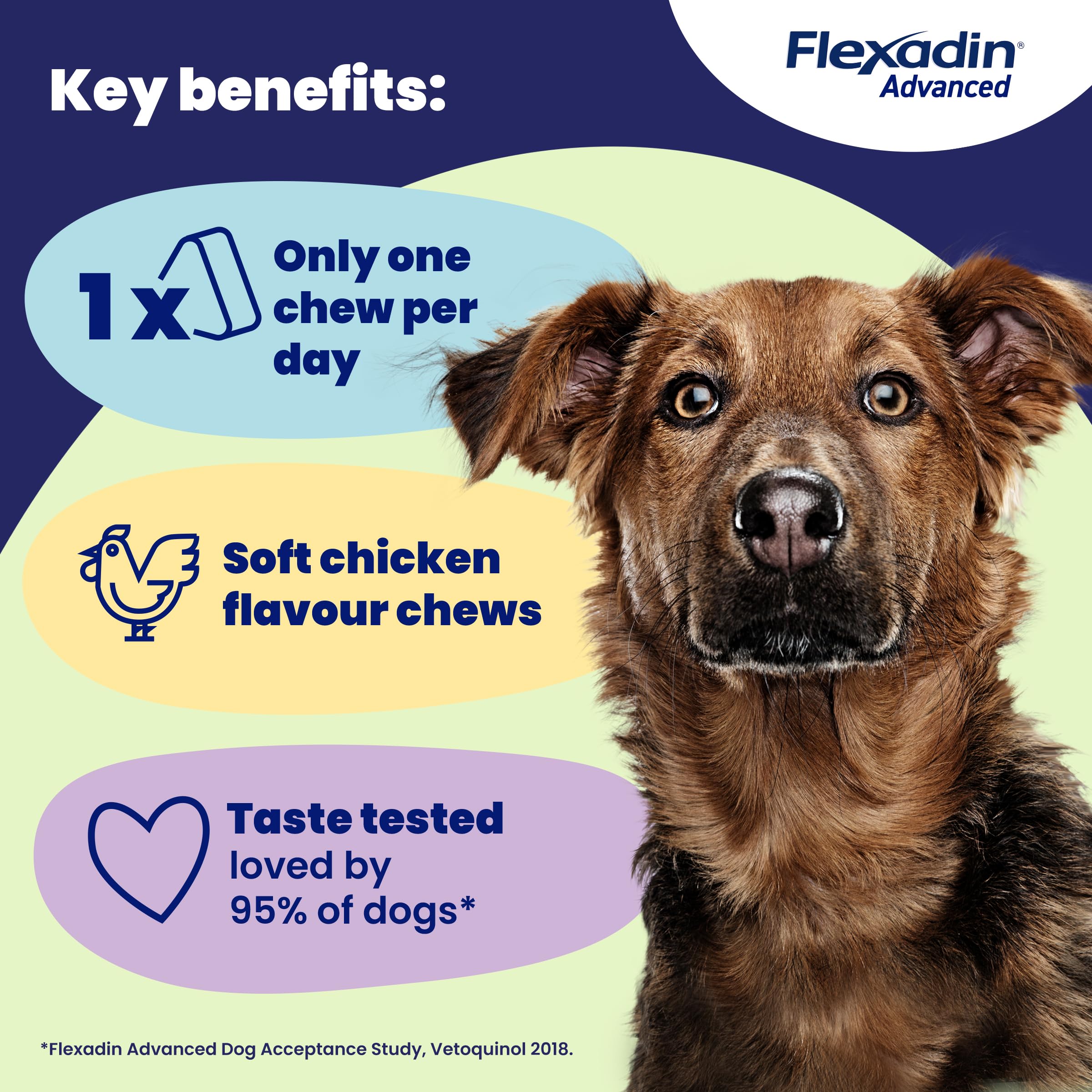 Vetoquinol Flexadin Advanced Joint Care Multivitamins for Dogs - 30 Chews 5