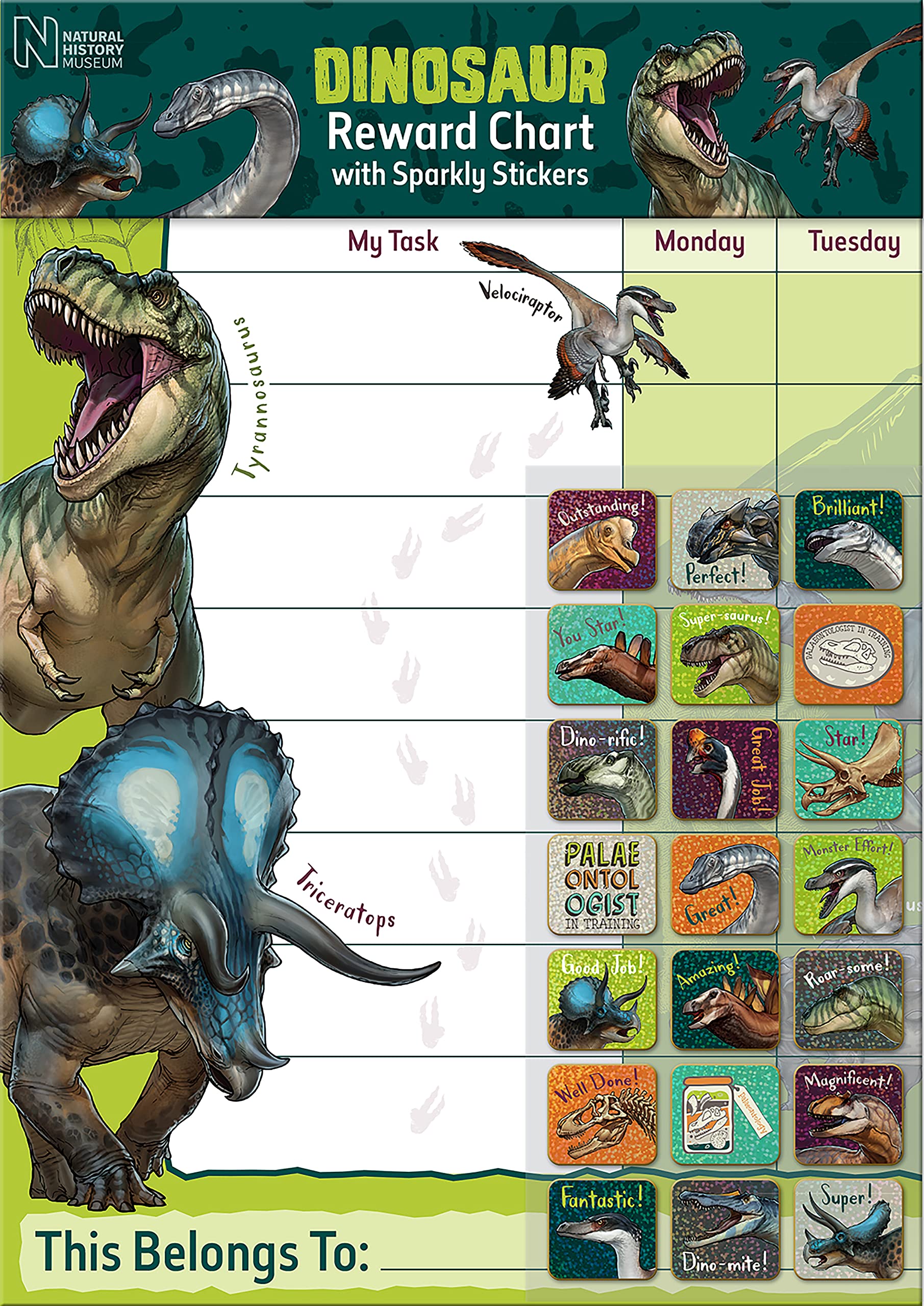 Paper Projects Natural History Museum Dinosaurs Reward Chart | A3 Size | Includes 56 Stickers 1
