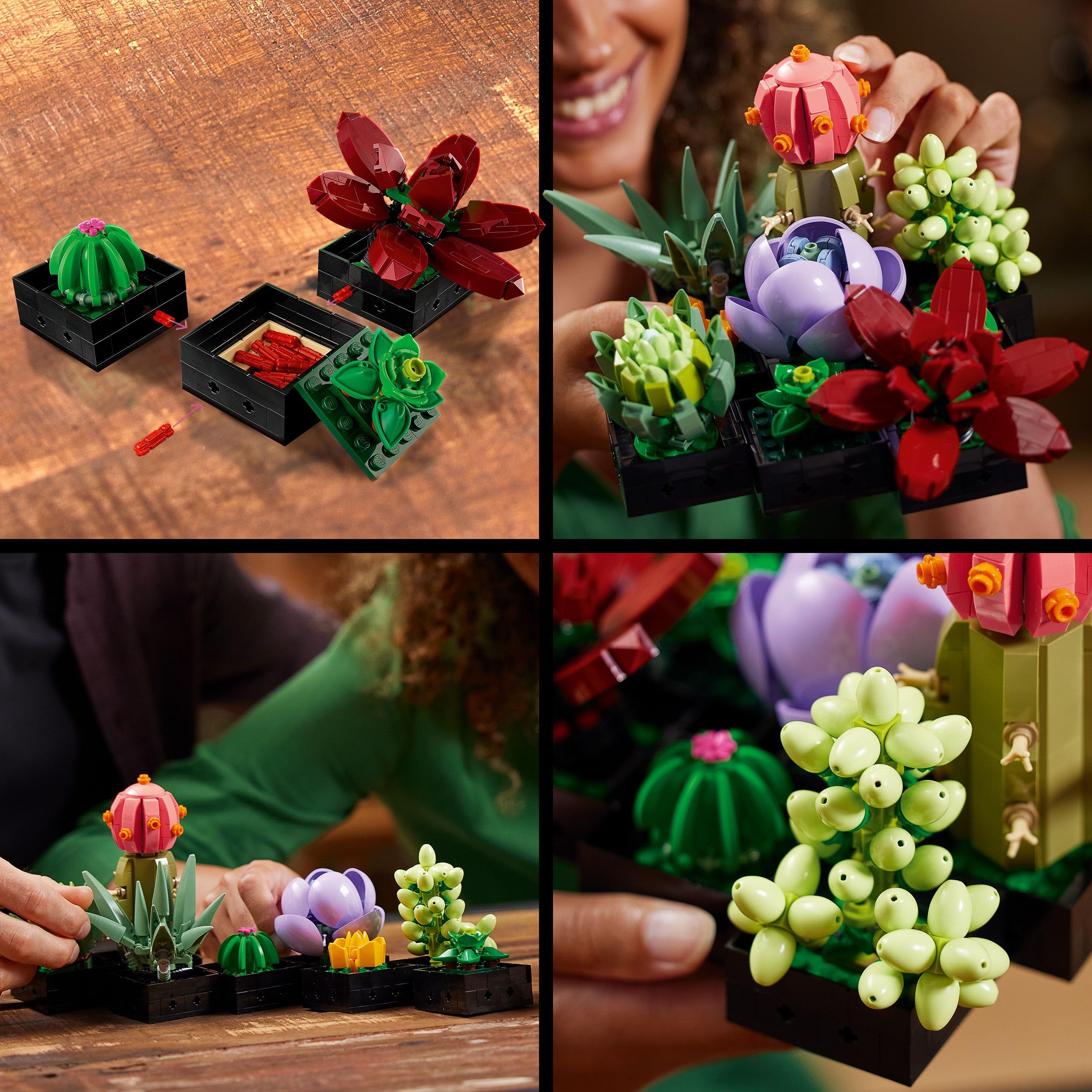 LEGO 10309 Icons Succulents Set - Artificial Plants for Adults, Home Décor & Building 9