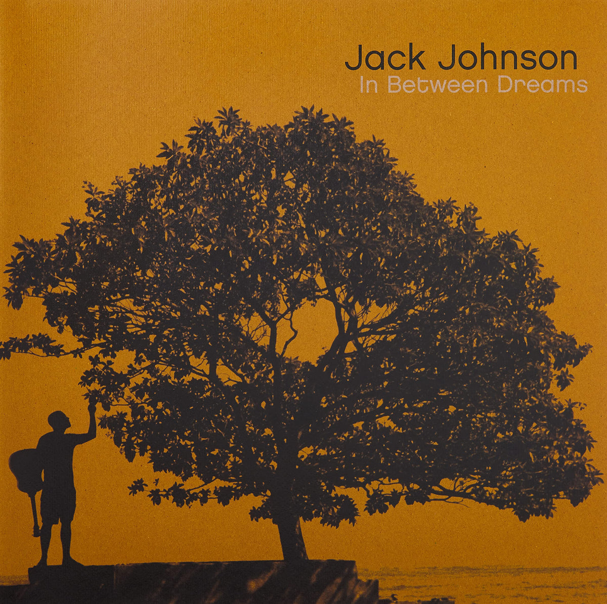 Jack Johnson - In Between Dreams [Grey Vinyl]