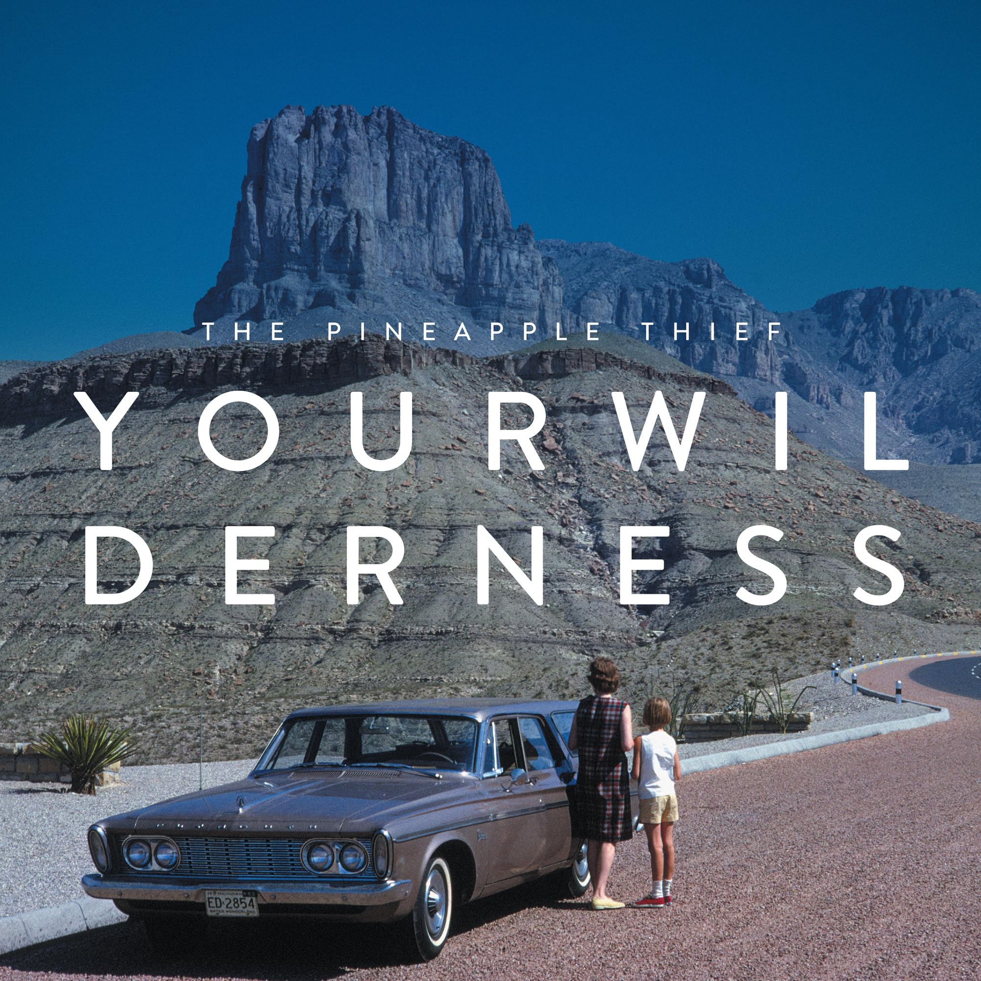 The Pineapple Thief - Your Wilderness (10th Anniversary Edition) [2LP Clear Vinyl] 1